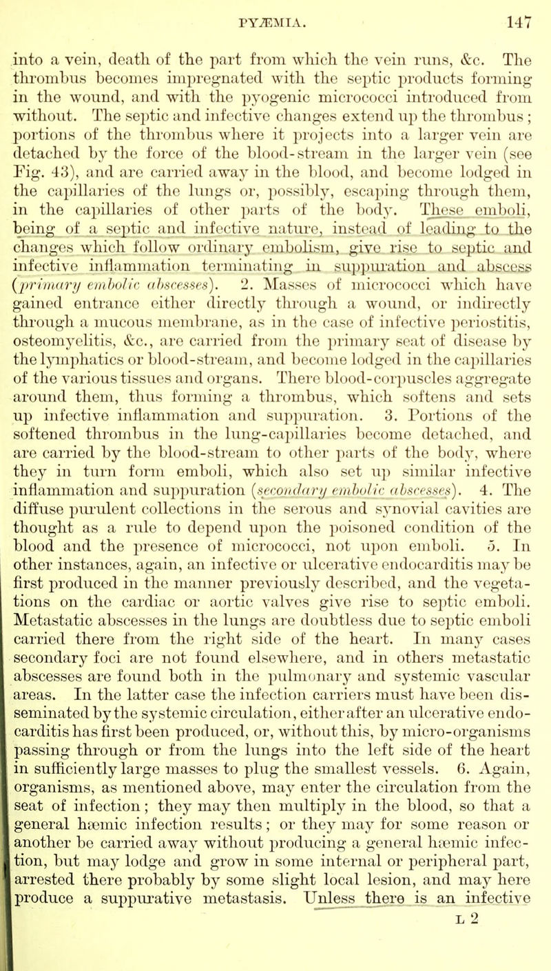 into a vein, death of the part from which the vein runs, &c. The thrombus becomes impregnated with the septic products forming in the wound, and with the pyogenic micrococci introduced from without. The septic and infective changes extend uj) the thrombus; portions of the thrombus where it projects into a larger vein are detached by the force of the blood-stream in the larger vein (see Fig. 43), and are carried away in the blood, and become lodged in the capillaries of the lungs or, possibly, escaping through them, in the capillaries of other parts of the body. Those emboli, being of a septic and infective nature_, instead of leading to the changes which follow ordinaiy embolism, give, rise to septic and infective inflammation terminating in suppui'ation and absces;^ {primary ernholic ahscesses). 2. Masses of micrococci which have gained entrance either directly through a wound, or indirectly through a mucous membrane, as in the case of infective i)eriostitis, osteomyelitis, &c., are carried from the primary seat of disease by the lymphatics or blood-stream, and become lodged in the capillaries of the various tissues and organs. There blood-corpuscles aggregate around them, thus forming a thrombus, which softens and sets up infective inflammation and suppuration. 3. Portions of the softened thrombus in the lung-capillaries become detached, and are carried by the blood-stream to other parts of the body, where they in turn form emboli, which also set up similar infective inflammation and suppuration (seco_??f/«r?/ e??i6oj/cj*iscesses). 4. The diffuse pui'ulent collections in the serous and sj^novial cavities are thought as a rule to depend upon the poisoned condition of the blood and the presence of micrococci, not upon emboli. 5. In other instances, again, an infective or ulcerative endocarditis maybe first produced in the manner previously described, and the vegeta- tions on the cardiac or aortic valves give rise to septic emboli. Metastatic abscesses in the lungs are doubtless due to septic emboli carried there from the right side of the heart. In many cases secondary foci are not found elsewhere, and in others metastatic abscesses are found both in the pulmonary and systemic vascular areas. In the latter case the infection carriers must have been dis- seminated by the systemic circulation, either after an ulcerative endo- carditis has first been produced, or, without this, by micro-organisms passing through or from the lungs into the left side of the heart in sufficiently large masses to plug the smallest vessels. 6. Again, organisms, as mentioned above, may enter the circulation from the seat of infection; they may then multiply in the blood, so that a general hsemic infection results; or they may for some reason or another be carried away without producing a general hiemic infec- tion, but may lodge and grow in some internal or peripheral part, arrested there probably by some slight local lesion, and may here produce a suppurative metastasis. Unless _there is an infective L 2