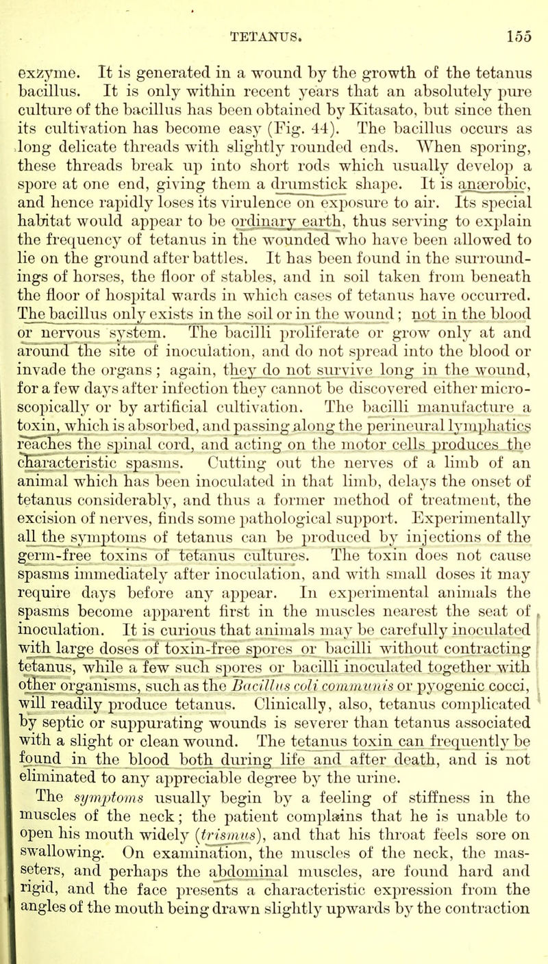 exzyme. It is generated in a wound by the growth of the tetanus bacillus. It is only within recent years that an absolutely pure culture of the bacillus has been obtained by Kitasato, but since then its cultivation has become easy (Fig. 44). The bacillus occurs as .long delicate threads with slightly rounded ends. When sporing, these threads break up into short rods which usually develop a spore at one end, giving them a drumstick shape. It is anaerobic, and hence rapidly loses its virulence on exposure to air. Its special habitat would appear to be qrdiniiry_earth, thus serving to explain the frequency of tetanus in the wounded who have been allowed to lie on the ground after battles. It has been found in the surround- ings of horses, the floor of stables, and in soil taken from beneath the floor of hospital wards in which cases of tetanus have occurred. The bacilhis only exists in the soil or in the wound ; not in the blood or nervous system. The l)aciHi ])rolitcrato or grow only at and around the site of inoculation, and do not spread into the blood or invade the organs ; again, they do not sur\ ive long in the wound, for a few days after infection they cannot be discovered either micro- scopically or by artificial cultivation. The bacilli manufacture a toxiii^ which is absorbed, and passing along the perineural lymphatic^ reaches the spinal cord, and acting on the motor cells producers -the cEaracteristic spasms. Gutting out the nerves of a limb of an animal which has been inoculated in that limb, delays the onset of tetanus considerably, and thus a former method of treatment, the excision of nerves, finds some pathological support. Experimentally all the sym]3toms of tetanus can be j^roduced by injections of the germ-free toxins of tetanus cultures. The toxin does not cause spasms immediately after inoculation, and with small doses it may require days before any appear. In experimental animals the spasms become apparent first in the muscles nearest the seat of . inoculation. It is curious that animals may be carefully inoculated with large doses of toxin-free spores or bacilli without contracting { tetanus, while a few such spores or bacilli inoculated together with | other organisms, such as the Bacillus coU communis or pyogenic cocci, will readily produce tetanus. Clinically, also, tetanus complicated ^ by septic or suppurating wounds is severer than tetanus associated with a slight or clean wound. The tetanus toxin can frequently be found in the blood both during life and after death, and is not eliminated to any appreciable degree by the urine. The symptoms usually begin by a feeling of stiffness in the muscles of the neck; the patient complasins that he is unable to open his mouth widely [trismus), and that his throat feels sore on swallowing. On examination, the muscles of the neck, the mas- seters, and perhaps the abdominal muscles, are found hard and rigid, and the face presents a characteristic expression from the angles of the mouth being drawn slightly upwards by the contraction