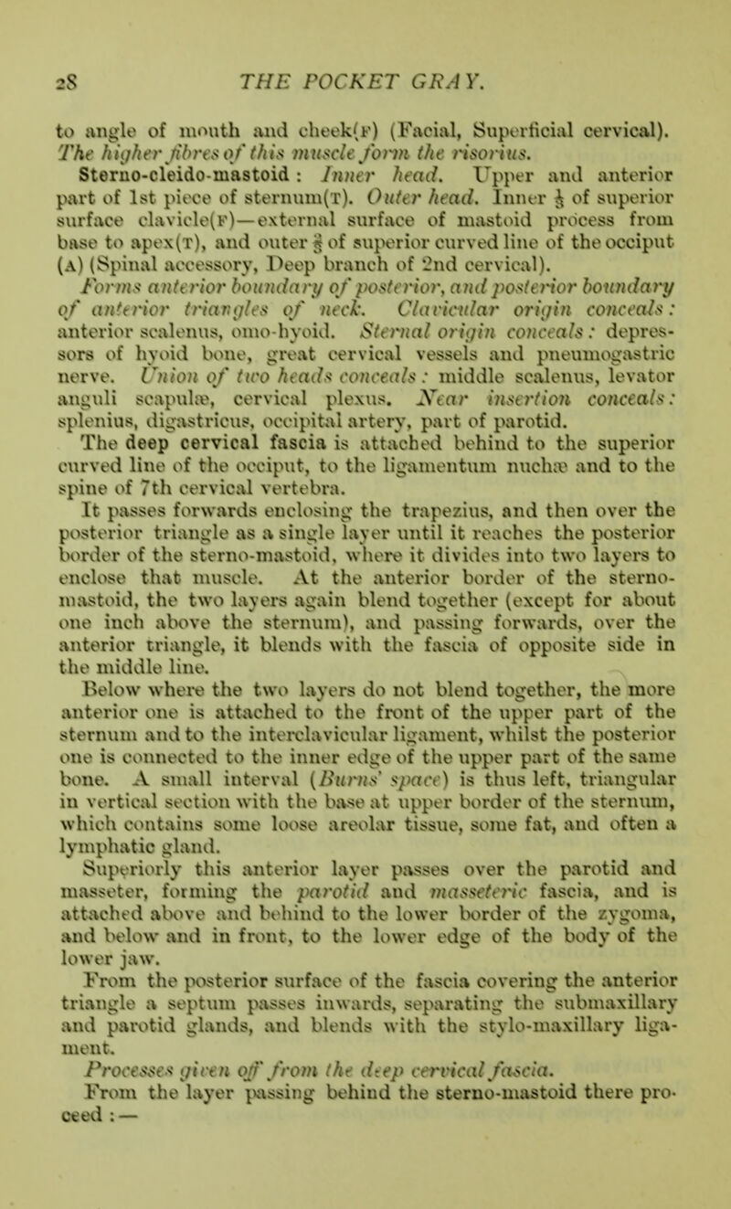 to angle of mouth and cheek(F) (Facial, Superticial cervical). The hiijher fibres of this ynuscle form the risorius. Steruo-cleido-inastoid: Jnuer head. Upper and anterior part of 1st piece of sternum(T). Outer head. InntT J of superior surface clavicle(F)—external surface of mastoid process from base to apex(T), and outer g of superior curved line of the occiput (a) (Spinal accessory, Peep branch of '2i\d cervical). Forms anterior boundary of posterior, and posterior boundary of ant trior triarujles of necl'. C/arieuIar oriijin conceals: anterior scalenus, omo hyoid. Sternal origin conceals : depres- sors of hyoid bone, great cervical vessels and pneumogastric nerve. Union of two heads conceals: middle scjvlenus, levator anguli scapulfie, cervical plexus. Xear insertion conceals: splenius, digastricus, occipital artery, part of parotid. The deep cervical fascia is attached behind to the superior curved line of the occiput, to the ligamentum nucluv and to the spine of 7th cervical vertebra. It passes forwards enclosing the trapezius, and then over the posterior triangle as a single layer until it reaches the posterior lx>rder of the sterno-mastoid, wliere it divides into two layers to enclose that muscle. At the anterior border of the sterno- mastoid, the two layers again blend together (except for about one inch above the sternum), and passing forwards, over the anterior triangle, it blends with the fascia of opposite side in the middle line. Below whei-e the two layers do not blend together, the more anterior one is attached to the fi-ont of the upper part of the sternum and to the interclavicuhir ligament, whilst the posterior one is connected to the inner edge of the upper part of the same bone. A small interval {Ihirns <pace) is thus left, triangular in vertical section with the base at upper border of the sternum, which contains some loose areolar tissue, some fat, and often a lymphatic gland. Superiorly this anterior layer passes over the parotid and masseter, forming the parotid and massetey^ic fascia, and is attached above and bt^hind to the lower border of the zygoma, and below and in front, to the lower edge of the body of the lower jaw. From the posterior surface of the fascia covering the anterior triangle a septum passes inwards, separating the submaxillary and parotid glands, and blends with the stylo-maxillary liga- ment. Processes given off from the d(:ep cermcal fascia. From the layer }>assing behind the sterno-mastoid there pro- ceed : —