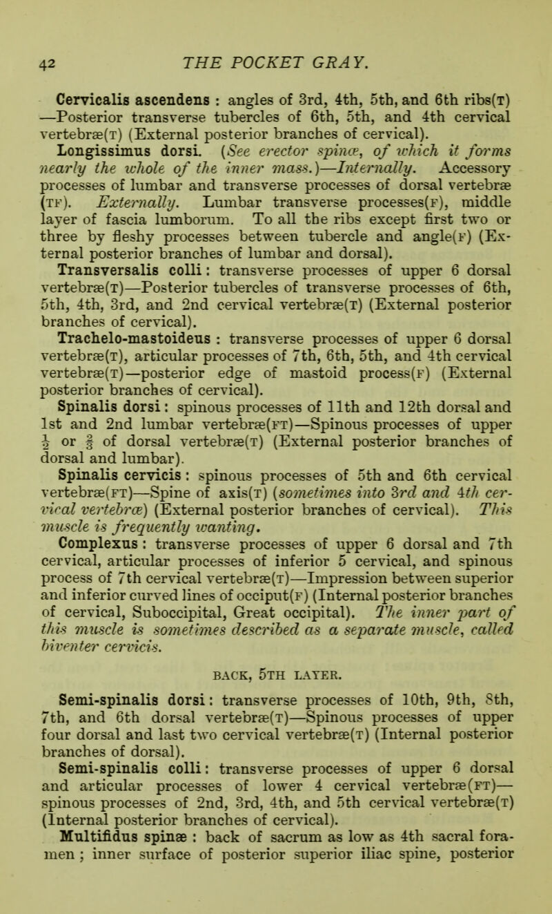 Cervicalis ascendens : angles of 3rd, 4th, 5th, and 6th ribs(T) —Posterior transverse tubercles of 6th, 5th, and 4th cervical vertebr8e(T) (External posterior branches of cervical). Longissimus dorsi, {See erector .spime, of which it forms nearly the ichole of the inner mass.)—Internally. Accessory processes of lumbar and transverse processes of dorsal vertebrae (tf). Fxternally. Lumbar transverse processes{F)5 middle layer of fascia lumborum. To all the ribs except first two or three by fleshy processes between tubercle and angle(F) (Ex- ternal posterior branches of lumbar and dorsal). Transversalis colli: transverse processes of upper 6 dorsal vertebr8e(T)—Posterior tubercles of transverse processes of 6th, 5th, 4th, 3rd, and 2nd cervical vertebr3e(T) (External posterior branches of cervical). Trachelo-mastoideus : transverse processes of upper 6 dorsal vertebr£e(T), articular processes of 7th, 6th, 5th, and 4th cervical vertebr«(T)—posterior edge of mastoid process(F) (External posterior branches of cervical). Spinalis dorsi: spinous processes of 11th and 12th dorsal and 1st and 2nd lumbar vertebr0e(FT)—Spinous processes of upper J or § of dorsal vertebrfce(T) (External posterior branches of dorsal and lumbar). Spinalis cervicis: spinous processes of 5th and 6th cervical vertebrseiFT)—Spine of axis(T) {sometimes into Srd and ^th cer- viral vertehrce) (External posterior branches of cervical). This muscle is frequently wanting, Complexus : transverse processes of upper 6 dorsal and 7th cervical, articular processes of inferior 5 cervical, and spinous process of 7th cervical vertebr8e(T)—Impression between superior and inferior curved lines of occiput(f) (Internal posterior branches of cervical. Suboccipital, Great occipital). The inner jmrt of this muscle is sometimes described as a separate muscle, called hiventer cervicis. BACK, 5th later. Semi-spinalis dorsi: transverse processes of 10th, 9th, Sth, 7th, and 6th dorsal vertebr8e(T)—Spinous processes of upper four dorsal and last two cervical vertebrse(T) (Internal posterior branches of dorsal). Semi-spinalis colli: transverse processes of upper 6 dorsal and articular processes of lower 4 cervical vertebrae (ft)— spinous processes of 2nd, 3rd, 4th, and 5th cervical vertebr3e(T) (Internal posterior branches of cervical). Multifidus spinae : back of sacrum as low as 4th sacral fora- men ; inner surface of posterior superior iliac spine, posterior