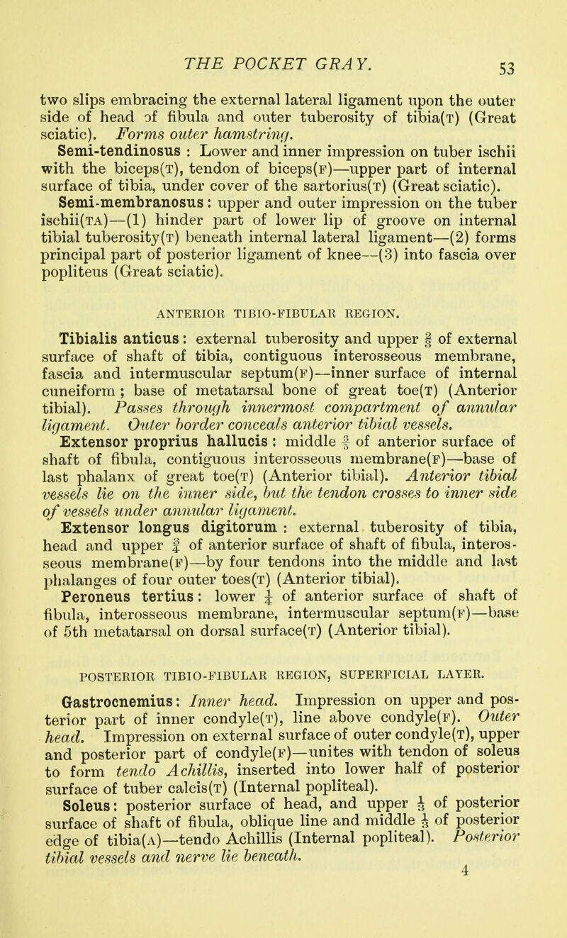 two slips embracing the external lateral ligament upon the outer side of head of fibula and outer tuberosity of tibia(T) (Great sciatic). Forms outer hamstrinc/. Semi-tendinosus : Lower and inner impression on tuber ischii with the biceps(T), tendon of biceps(F)—upper part of internal surface of tibia, under cover of the sartorius(T) (Great sciatic). Semi-membranosus : upper and outer impression on the tuber ischii(TA)—(1) hinder part of lower lip of groove on internal tibial tuberosity(T) beneath internal lateral ligament—(2) forms principal part of posterior ligament of knee—(3) into fascia over popliteus (Great sciatic). ANTERIOR TIBIO-FIBULAR REGION. Tibialis anticus: external tuberosity and upper § of external surface of shaft of tibia, contiguous interosseous membrane, fascia and intermuscular septum(F)—inner surface of internal cuneiform ; base of metatarsal bone of great toe(T) (Anterior tibial). Passes through innermost compartment of annular ligament. Outer border conceals anterior tibial vessels. Extensor proprius hallucis : middle f of anterior surface of shaft of fibula, contiguous interosseous niembrane(F)—base of last phalanx of great toe(T) (Anterior tibial). Aiiterior tibial vessels lie on the inner side, but the tendon crosses to inner side of vessels under anmdar ligament. Extensor longus digitorum : external tuberosity of tibia, head and upper j of anterior surface of shaft of fibula, interos- seous membrane(F)—by four tendons into the middle and last phalanges of four outer toes(T) (Anterior tibial). Peroneus tertius: lower J of anterior surface of shaft of fibula, interosseous membrane, intermuscular septum(F)—base of 5th metatarsal on dorsal surface(T) (Anterior tibial). POSTERIOR TIBIO-FIBULAR REGION, SUPERFICIAL LAYER. Gastrocnemius: Inner head. Impression on upper and pos- terior part of inner condyle(T), line above condyle(F). Outer head. Impression on external surface of outer condyle(T), upper and posterior part of condyle(F)—unites with tendon of soleus to form teiido Achillis, inserted into lower half of posterior surface of tuber calcis(T) (Internal popliteal). Soleus: posterior surface of head, and upper J of posterior surface of shaft of fibula, oblique line and middle J of posterior edge of tibia(A)—tendo Achillis (Internal popliteal). Posterior tibial vessels and nerve lie beneath. 4