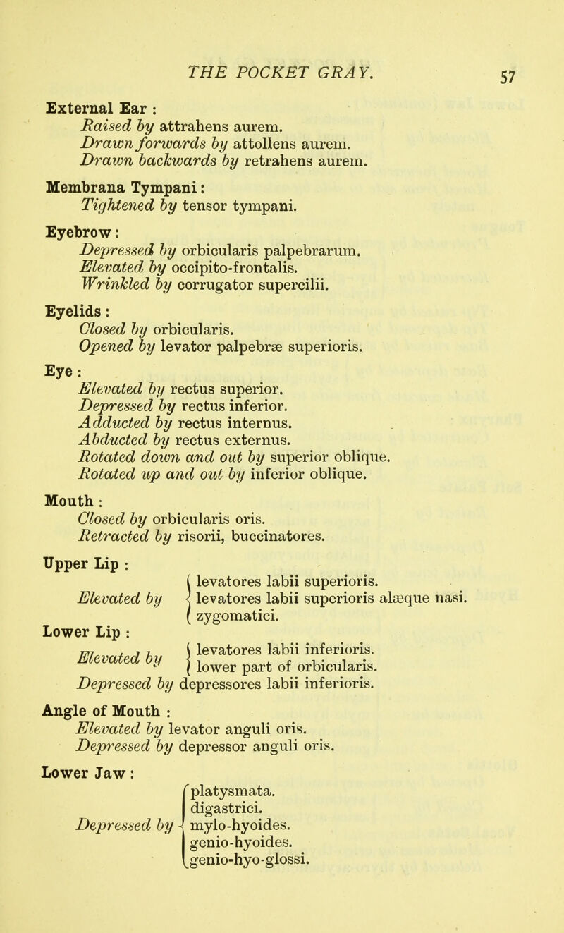 External Ear : Raised hy attrahens aurem. Drawn forwards hy attollens aurem. Drawn hackwards hy retrahens aurem. Membrana Tympani: Tightened hy tensor tympani. Eyebrow: Depressed hy orbicularis palpebrarum. Elevated hy occipito-frontalis. Wrinkled hy corrugator supercilii. Eyelids: Closed hy orbicularis. Opened hy levator palpebrse superioris. Eye: Elevated hy rectus superior. Depressed hy rectus inferior. Adducted hy rectus internus. Ahducted hy rectus externus. Rotated down and out hy superior oblique. Rotated up and out hy inferior oblique. Mouth : Closed hy orbicularis oris. Retracted hy risorii, buccinatores. Upper Lip ; ( levatores labii superioris. Elevated hy I levatores labii superioris alseque nasi. ( zygomatici. Lower Lip : y ^ \ levatores labii inferioris. Elevated by | j^^^^ orbicularis. Depressed hy depressores labii inferioris. Angle of Mouth : Elevated hy levator anguli oris. Depressed hy depressor anguli oris. Lower Jaw: iplatysmata. digastrici. mylo-hyoides. genio-hyoides. genio-hyo-glossi.