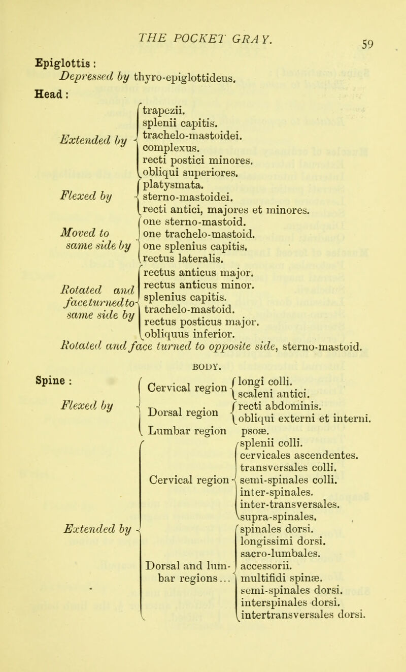 59 Epiglottis : Depressed by thyro-epiglottideus. Head: Extended by Flexed by trapezii. splenii capitis, trachelo-mastoidei. complexus. recti postici minores. ^obliqui superiores. platysmata. - sterno-mastoidei. ^ recti antici, majores et minores. ione sterno-mastoid, one trachelo-mastoid, one splenius capitis, rectus lateralis. 1 rectus anticus major. RotaUd and ''^f! ^'^^Vf. mme side by] fachelo-mastoid. ^ I rectus posticus major. I^obliquus inferior. Rotated, and face turned to opposite side, sterno-mastoid. Spine : Flexed, by Dorsal region , Lumbar region Extended by -< Cervical region I ^^^P ^^^■^^l. • ° \^scaleni antici. J recti abdominis. (obliqui externi et interni. psose. ^splenii colli. cervicales ascendentes. transversales colli. Cervical region •< semi-spinales colli. inter-spinales. inter-transversales. Vsupra-spinales. 'spinales dorsi. longissimi dorsi. sacro-lumbales. Dorsal and lum- bar regions... accessorii. multifidi spinse. ?emi-spinales dorsi. interspinales dorsi. intertransversales dorsi.