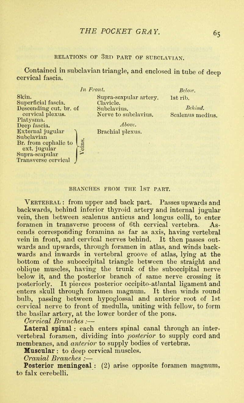 RELATIONS OF 3tID PAKT OP SUBCLAVIAN. Contained in subclavian triangle, and enclosed in tube of deep cervical fascia. In Front, Skin. Superficial fascia. Descending cut. br. of cervical plexus. Platysma. Deep fascia. External jugular Subclavian Br. from cephalic to ext. jugular Supra-scapular Transverse cervical Supra-scapular artery. Clavicle. Subclavius. Nerve to subclavius. Above. Brachial plexus. Belov. 1st rib. Behind. Scalenus medius. BRANCHES FROM THE IST PART. Vertebral : from upper and back part. Passes upwards and backwards, behind inferior thyroid artery and internal jugular vein, then between scalenus anticus and longus colli, to enter foramen in transverse process of 6tli cervical vertebra. As- cends corresponding foramina as far as axis, having vertebral vein in front, and cervical nerves behind. It then passes out- wards and upwards, through foramen in atlas, and winds back- wards and inwards in vertebral groove of atlas, lying at the bottom of the suboccipital triangle between the straight and oblique muscles, having the trunk of the suboccipital nerve below it, and the posterior branch of same nerve crossing it posteriorly. It pierces posterior occipito-atlantal ligament and enters skull through foramen magnum. It then winds round bulb, passing between hypoglossal and anterior root of 1st cervical nerve to front of medulla, uniting with fellow, to form the basilar artery, at the lower border of the pons. Cervical Branches Lateral spinal : each enters spinal canal through an inter^ vertebral foramen, dividing into posterior to supply cord and membranes, and anterior to supply bodies of vertebrae. Muscular : to deep cervical muscles. Cranial Branches :— Posterior meningeal : (2) arise opposite foramen magnum, to falx cerebelli.