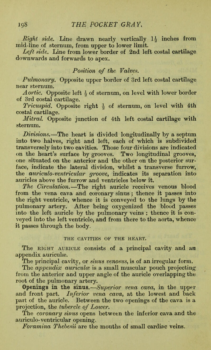Right side. Line drawn nearly vertically inches from mid-line of sternum, from upper to lower limit. Left side. Line from lower border of 2nd left costal cartilage downwards and forwards to apex. Position of the Valves. Pulmonary. Opposite upper border of 3rd left costal cartilage near sternum. Aortic. Opposite left J of sternum, on level with lower border of 3rd costal cartilage. Tricuspid. Opposite right J of sternum, on level with 4th costal cartilage. Mitral Opposite junction of 4th left costal cartilage with sternum. Divisions.—The heart is divided longitudinally by a septum into two halves, right and left, each of which is subdivided transversely into two cavities. Those four divisions are indicated on the hearths surface by grooves. Two longitudinal grooves, one situated on the anterior and the other on the posterior sur- face, indicate the lateral division, whilst a transverse furrow, the auriculo-ventricular groove, indicates its separation into auricles above the furrow and ventricles below it. 2''he Circulation.—The right auricle receives venous blood from the vena cava and coronary sinus; thence it passes into the right ventricle, whence it is conveyed to the lungs by the pulmonary artery. After being oxygenized the blood passes into the left auricle by the pulmonary veins ; thence it is con- veyed into the left ventricle, and from there to the aorta, whence it passes through the body. THE CAVITIES OF THE HEART. The RIGHT AURICLE consists of a principal cavity and an appendix auriculae. The principal cavity, or siiius venosus, is of an irregular form. The appendix auriculae is a small muscular pouch projecting from the anterior and upper angle of the auricle overlapping the root of the pulmonary artery. Openings in the ^imxs.—-Superior vena cava, in the upper and front part. Inferior vena cava, at the lowest and back part of the auricle. Between the two openings of the cava is a projection, the tubercle of Loioer. The coronary sinus opens between the inferior cava and the auriculo-ventricular opening. Foramina Thebesii are the mouths of small cardiac veins.