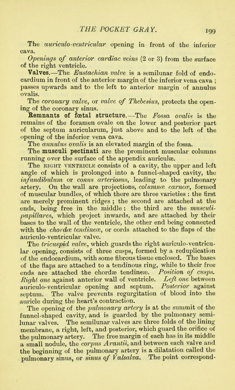 The auriculo-ventricular opening in front of the inferior cava. Openings of anterior cardiac veins (2 or 3) from the surface of the right ventricle. Valves.—The Eustachian valve is a semilunar fold of endo- cardium in front of the anterior margin of the inferior vena cava ; passes upwards and to the left to anterior margin of annulus ovalis. The coronary valve, or valve of Thehesius, protects the open- ing of the coronary sinus. Remnants of foetal structure.—The Fossa ovalis is the remains of the foramen ovale on the lower and posterior part of the septum auricularum, just above and to the left of the opening of the inferior vena cava. The annulus ovalis is an elevated margin of the fossa. The musculi pectinati are the prominent muscular columns running over the surface of the appendix auriculae. The RIGHT VENTRICLE consists of a cavity, the upper and left angle of which is prolonged into a funnel-shaped cavity, the infundihulum or conus arteriosus, leading to the pulmonary artery. On the wall are projections, columnm cameos, formed of muscular bundles, of which there are three varieties : the first are merely prominent ridges ; the second are attached at the ends, being free in the middle ; the third are the musculi- papillares, which project inwards, and are attached by their bases to the wall of the ventricle, the other end being connected with the chordce tendinem, or cords attached to the flaps of the auriculo-ventricular valve. The tricuspid valve, which guards the right auriculo-ventricu- lar opening, consists of three cusps, formed by a reduplication of the endocardium, with some fibrous tissue enclosed. The bases of the flaps are attached to a tendinous ring, while to their free ends are attached the chordae tendinea?. Position of cusps. Right one against anterior wall of ventricle. Left one between auriculo-ventricular opening and septum. Posterior against septum. The valve prevents regurgitation of blood into the auricle during the heart's contraction. The opening of the pulmonary artery is at the summit of the funnel-shaped cavity, and is guarded by the pulmonary semi- lunar valves. The semilunar valves are three folds of the lining membrane, a right, left, and posterior, which guard the orifice of the pulmonary artery. The free margin of each has in its middle a small nodule, the corpus Araritii, and between each valve and the beginning of the pulmonary artery is a dilatation called the pulmonary sinus, or sinus of Valsalva. The point correspond-