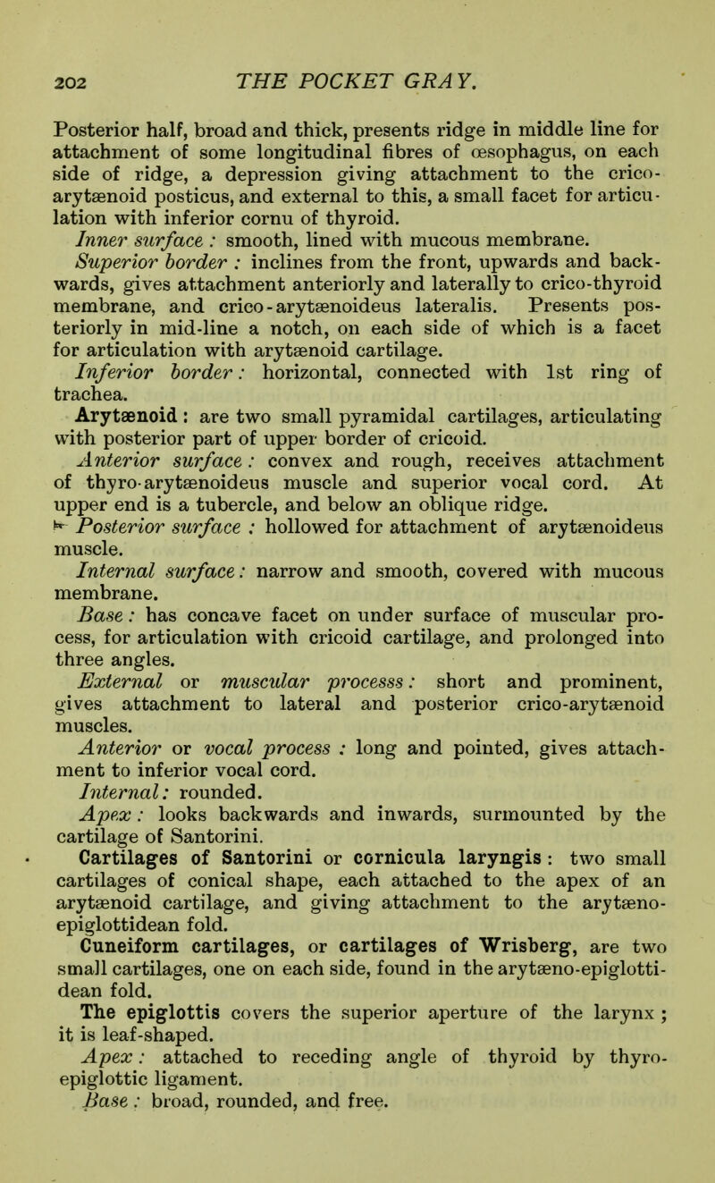 Posterior half, broad and thick, presents ridge in middle line for attachment of some longitudinal fibres of oesophagus, on each side of ridge, a depression giving attachment to the crico- arytaenoid posticus, and external to this, a small facet for articu- lation with inferior cornu of thyroid. Inner surface : smooth, lined with mucous membrane. Superior border : inclines from the front, upwards and back- wards, gives attachment anteriorly and laterally to crico-thyroid membrane, and crico - arytaenoideus lateralis. Presents pos- teriorly in mid-line a notch, on each side of which is a facet for articulation with arytsenoid cartilage. Inferior border: horizontal, connected with 1st ring of trachea. Arytaenoid : are two small pyramidal cartilages, articulating with posterior part of upper border of cricoid. Anterior surface: convex and rough, receives attachment of thyro arytsenoideus muscle and superior vocal cord. At upper end is a tubercle, and below an oblique ridge. ^ Posterior surface : hollowed for attachment of arytsenoideus muscle. Internal surface: narrow and smooth, covered with mucous membrane. Base: has concave facet on under surface of muscular pro- cess, for articulation with cricoid cartilage, and prolonged into three angles. External or muscular processs: short and prominent, gives attachment to lateral and posterior crico-arytsenoid muscles. Anterior or vocal process : long and pointed, gives attach- ment to inferior vocal cord. Internal: rounded. Apex: looks backwards and inwards, surmounted by the cartilage of Santorini. Cartilages of Santorini or cornicula laryngis : two small cartilages of conical shape, each attached to the apex of an arytaenoid cartilage, and giving attachment to the arytaeno- epiglottidean fold. Cuneiform cartilages, or cartilages of Wrisberg, are two small cartilages, one on each side, found in the arytaeno-epiglotti- dean fold. The epiglottis covers the superior aperture of the larynx ; it is leaf-shaped. Apex: attached to receding angle of thyroid by thyro- epiglottic ligament. Base : broad, rounded, and free.