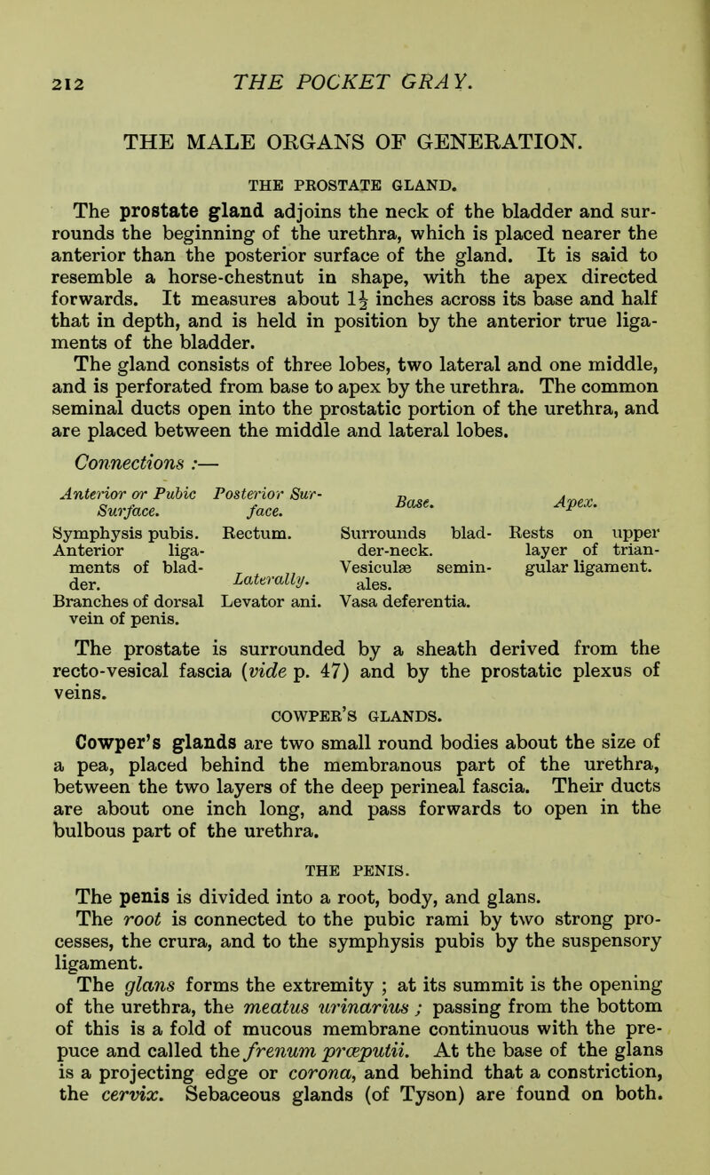 THE MALE ORGANS OF GENERATION. THE PKOSTATE GLAND. The prostate gland adjoins the neck of the bladder and sur- rounds the beginning of the urethra, which is placed nearer the anterior than the posterior surface of the gland. It is said to resemble a horse-chestnut in shape, with the apex directed forwards. It measures about 1J inches across its base and half that in depth, and is held in position by the anterior true liga- ments of the bladder. The gland consists of three lobes, two lateral and one middle, and is perforated from base to apex by the urethra. The common seminal ducts open into the prostatic portion of the urethra, and are placed between the middle and lateral lobes. Connections :— Anterior or Pubic Posterior Sur- j^^^ Surface, face. Symphysis pubis. Rectum. Surrounds blad- Rests on upper Anterior liga- der-neck. layer of trian- ments of blad- ^ „ Vesiculae semin- gular ligament, der. Laterally. ^les. Branches of dorsal Levator ani. Vasa deferentia. vein of penis. The prostate is surrounded by a sheath derived from the recto-vesical fascia (vide p. 47) and by the prostatic plexus of veins. cowper's glands. Cowper's glands are two small round bodies about the size of a pea, placed behind the membranous part of the urethra, between the two layers of the deep perineal fascia. Their ducts are about one inch long, and pass forwards to open in the bulbous part of the urethra. THE PENIS. The penis is divided into a root, body, and glans. The root is connected to the pubic rami by two strong pro- cesses, the crura, and to the symphysis pubis by the suspensory ligament. The glans forms the extremity ; at its summit is the opening of the urethra, the meatus ur^inarius ; passing from the bottom of this is a fold of mucous membrane continuous with the pre- puce and called the frenum prceputii. At the base of the glans is a projecting edge or corona, and behind that a constriction, the cervix. Sebaceous glands (of Tyson) are found on both.