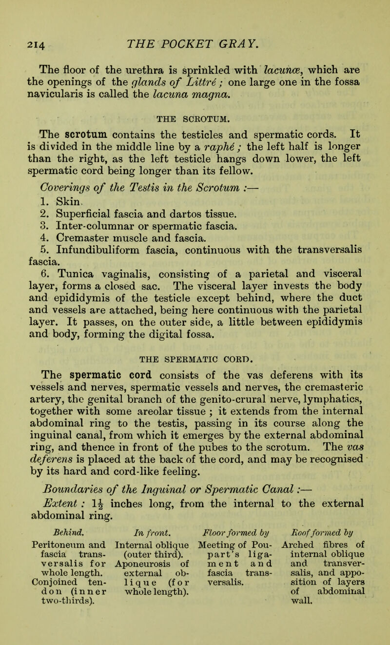The floor of the urethra is sprinkled with lacunce, which are the openings of the glands of Littre; one large one in the fossa navicularis is called the lacuna magna. The scrotum contains the testicles and spermatic cords. It is divided in the middle line by a rapM ; the left half is longer than the right, as the left testicle hangs down lower, the left spermatic cord being longer than its fellow. Coverings of the Testis in the Scrotum :— 1. Skin, 2. Superficial fascia and dartos tissue. 3. Inter-columnar or spermatic fascia. 4. Cremaster muscle and fascia. 5. Infundibuliform fascia, continuous with the transversalis fascia. 6. Tunica vaginalis, consisting of a parietal and visceral layer, forms a closed sac. The visceral layer invests the body and epididymis of the testicle except behind, where the duct and vessels are attached, being here continuous with the parietal layer. It passes, on the outer side, a little between epididymis and body, forming the digital fossa. The spermatic cord consists of the vas deferens with its vessels and nerves, spermatic vessels and nerves, the cremasteric artery, the genital branch of the genito-crural nerve, lymphatics, together with some areolar tissue ; it extends from the internal abdominal ring to the testis, passing in its course along the inguinal canal, from which it emerges by the external abdominal ring, and thence in front of the pubes to the scrotum. The vas deferens is placed at the back of the cord, and may be recognised by its hard and cord-like feeling. Boundaries of the Inguinal or Spermatic Canal:— Extent : inches long, from the internal to the external abdominal ring. Behind. In front. Floor formed by Eoof formed hy Peritoneum and Internal oblique Meeting of Pou- Arched fibres of fascia trans- (outer third). part's liga- internal oblique versalis for Aponeurosis of ment and and transver- whole length. external ob- fascia trans- salis, and appo- THE SCROTUM. THE SPERMATIC CORD. Conjoined ten- don (inner two-thirds). 1 i q u e (for whole length). versalis. sition of layers of abdominal wall.