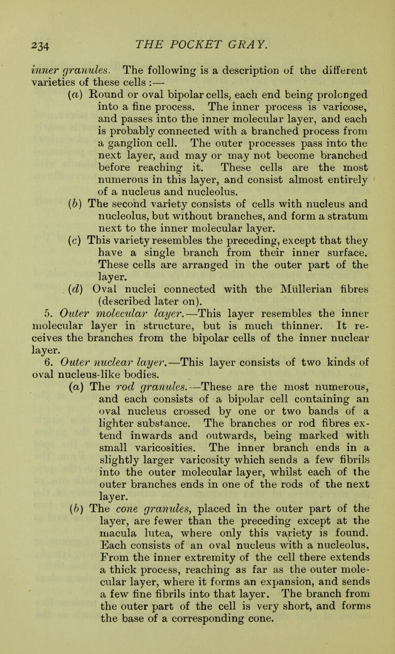 inner granules. The following is a description of the different varieties of these cells :— (a) Round or oval bipolar cells, each end being prolonged into a fine process. The inner process is varicose, and passes into the inner molecular layer, and each is probably connected with a branched process from a ganglion cell. The outer processes pass into the next layer, and may or may not become branched before reaching it. These cells are the most numerous in this layer, and consist almost entirely of a nucleus and nucleolus. (6) The second variety consists of cells with nucleus and nucleolus, but without branches, and form a stratum next to the inner molecular layer. (c) This variety resembles the preceding, except that they have a single branch from their inner surface. These cells are arranged in the outer part of the layer. (d) Oval nuclei connected with the Mlillerian fibres (described later on). 5. 0Liter molecular layer.—This layer resembles the inner molecular layer in structure, but is much thinner. It re- ceives the branches from the bipolar cells of the inner nuclear layer. 6. Outer nuclear layer,—This layer consists of two kinds of oval nucleus-like bodies. (a) The rod granules.—These are the most numerous, and each consists of a bipolar cell containing an oval nucleus crossed by one or two bands of a lighter substance. The branches or rod fibres ex- tend inwards and outwards, being marked with small varicosities. The inner branch ends in a slightly larger varicosity which sends a few fibrils into the outer molecular layer, whilst each of the outer branches ends in one of the rods of the next layer. {h) The cone granules^ placed in the outer part of the layer, are fewer than the preceding except at the macula lutea, where only this variety is found. Each consists of an oval nucleus with a nucleolus. From the inner extremity of the cell there extends a thick process, reaching as far as the outer mole- cular layer, where it forms an expansion, and sends a few fine fibrils into that layer. The branch from the outer part of the cell is very short, and forms the base of a corresponding cone.