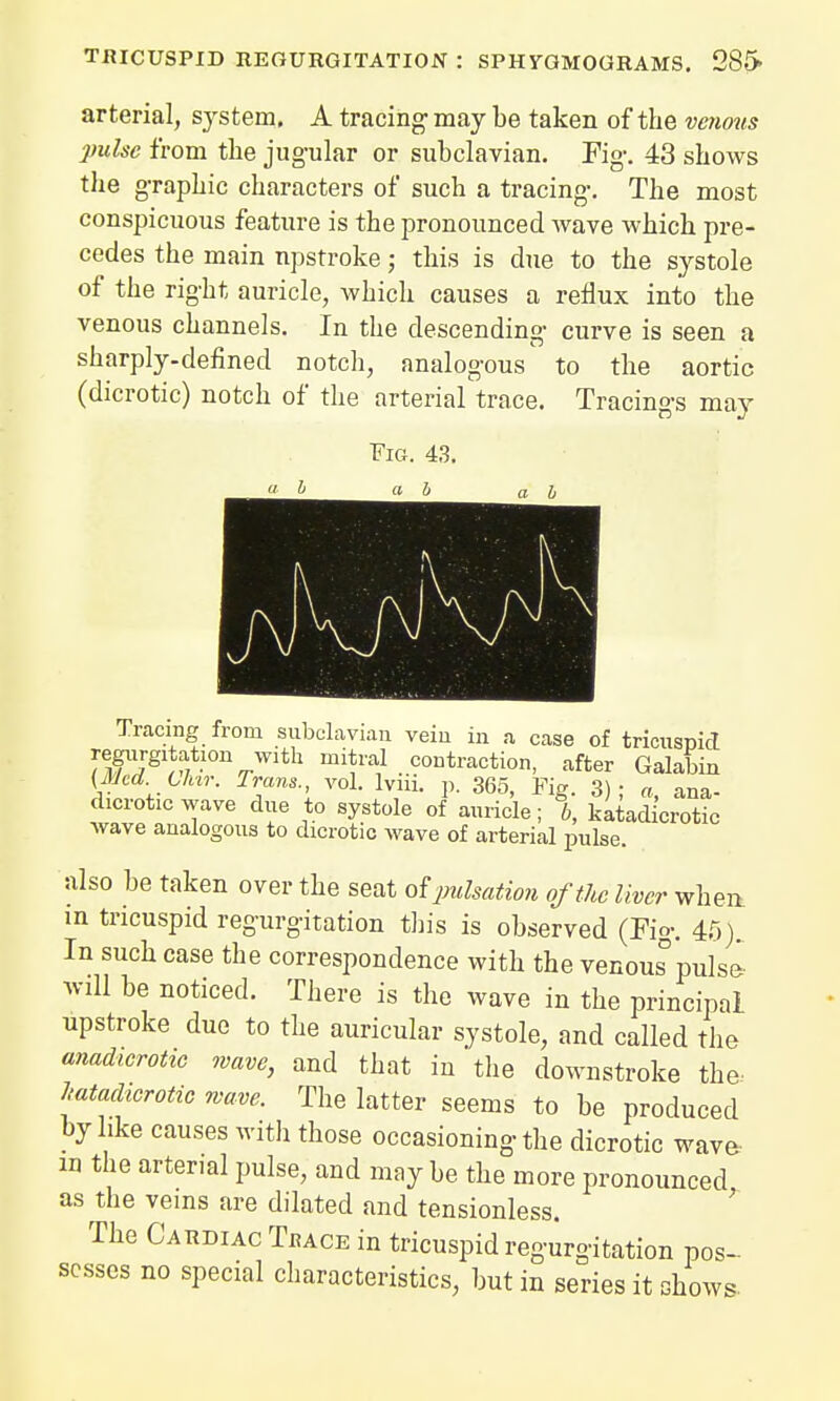 arterial, system. A tracing may be taken of the venous pulse from the jugular or subclavian. Fig. 43 shows the graphic characters of such a tracing. The most conspicuous feature is the pronounced wave which pre- cedes the main npstroke; this is due to the systole of the right auricle, which causes a reflux into the venous channels. In the descending curve is seen a sharply-defined notch, analogous to the aortic (dicrotic) notch of the arterial trace. Tracings may Fig. 43. Tracing from subclavian vein in a case of tricuspid ^rgl^/ VVlth miH .CODtl™tion, after Galabin (Med Uur. Trans., vol. lvm. p. 365, Fig. 3); a, ana- crotic wave due to systole of auricle; b, katadicrotic wave analogous to dicrotic wave of arterial pulse. also be taken over the seat ofpulsation of the liver when m tricuspid regurgitation this is observed (Fig. 45) In such case the correspondence with the venous°pulse will be noticed. There is the wave in the principal upstroke due to the auricular systole, and called the anadicrotic wave, and that in the downstroke the katadicrotic wave. The latter seems to be produced by like causes with those occasioning the dicrotic wave m the arterial pulse, and maybe the more pronounced as the veins are dilated and tensionless. The Cardiac Tkace in tricuspid regurgitation pos- sesses no special characteristics, but in series it shows.