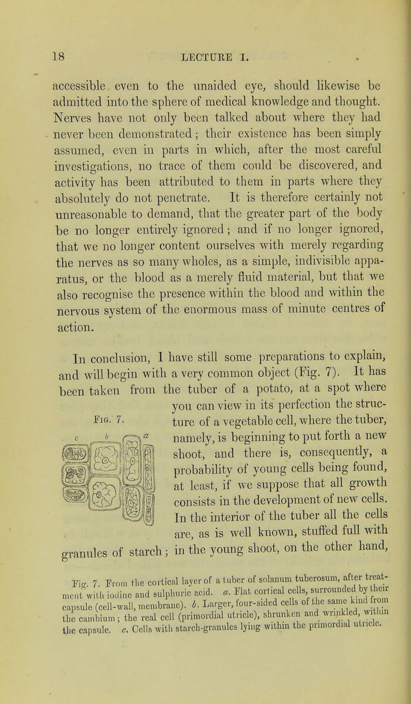 accessible even to the unaided eye, should likewise be admitted into the sphere of medical knowledge and thought. Nerves have not only been talked about where they had never been demonstrated; their existence has been simply assumed, even in parts in which, after the most careful investigations, no trace of them could be discovered, and activity has been attributed to them in parts where they absolutely do not penetrate. It is therefore certainly not unreasonable to demand, that the greater part of the body be no longer entirely ignored ; and if no longer ignored, that we no longer content ourselves with merely regarding the nerves as so many wholes, as a simple, indivisible appa- ratus, or the blood as a merely fluid material, but that we also recognise the presence within the blood and within the nervous system of the enormous mass of minute centres of action. In conclusion, I have still some preparations to explain, and will begin with a very common object (Fig. 7). It has been taken from the tuber of a potato, at a spot where you can view in its perfection the struc- ture of a vegetable cell, where the tuber, namely, is beginning to put forth a new shoot, and there is, consequently, a probability of young cells being found, at least, if we suppose that all growth consists in the development of new cells. In the interior of the tuber all the cells are, as is well known, stuffed full with granules of starch; in the young shoot, on the other hand, Wis 7 From the cortical layer of a tuber of Solanum tuberosum, after treat- ment with iodine and sulphuric acid. * Flat cortical cells surrounded by hen- capsule (cell-wall, membrane), b. Larger, founded cells of the same kmd on the cambium; the real cell (primordial utricle), shrunken and wrinkled within the capsule. c. Cells with starch-granules lying within the primordial utricle.