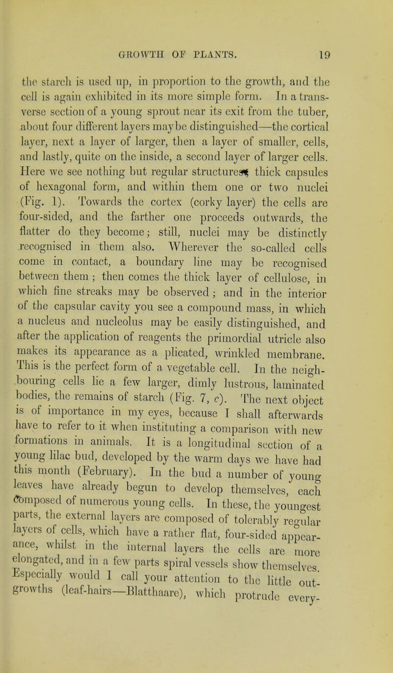 the starch is used up, in proportion to the growth, and the cell is again exhibited in its more simple form. In a trans- verse section of a young sprout near its exit from the tuber, about four different layers maybe distinguished—the cortical layer, next a layer of larger, then a layer of smaller, cells, and lastly, quite on the inside, a second layer of larger cells. Here we see nothing but regular structures^ thick capsules of hexagonal form, and within them one or two nuclei (Fig. 1). Towards the cortex (corky layer) the cells are four-sided, and the farther one proceeds outwards, the flatter do they become; still, nuclei may be distinctly recognised in them also. Wherever the so-called cells come in contact, a boundary line may be recognised between them ; then comes the thick layer of cellulose, in which fine streaks may be observed; and in the interior of the capsular cavity you see a compound mass, in which a nucleus and nucleolus may be easily distinguished, and after the application of reagents the primordial utricle also makes its appearance as a plicated, wrinkled membrane. This is the perfect form of a vegetable cell. In the neigh- bouring cells lie a few larger, dimly lustrous, laminated bodies, the remains of starch (Fig. 7, c). The next object is of importance in my eyes, because I shall afterwards have to refer to it when instituting a comparison with new formations in animals. It is a longitudinal section of a young lilac bud, developed by the warm days we have had this month (February). In the bud a number of young leaves have already begun to develop themselves, each composed of numerous young cells. In these, the youngest parts, the external layers are composed of tolerably regular layers of cells, which have a rather flat, four-sided appear- ance, whilst in the internal layers the cells are more elongated, and in a few parts spiral vessels show themselves Especially would I call your attention to the little out' growths (leaf-hairs-Blatthaare), which protrude every-