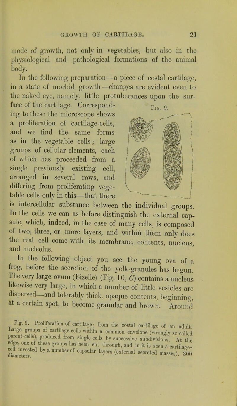 mode of growth, not only in vegetables, but also in the physiological and pathological formations of the animal body. In the following preparation—a piece of costal cartilage, in a state of morbid growth—changes are evident even to the naked eye, namely, little protuberances upon the sur- face of the cartilage. Correspond- ing to these the microscope shows a proliferation of cartilage-cells, and we find the same forms as in the vegetable cells; large groups of cellular elements, each of which has proceeded from a single previously existing cell, arranged in several rows, and differing from proliferating vege- table cells only in this—that there is intercellular substance between the individual groups. In the cells we can as before distinguish the external cap- sule, which, indeed, in the case of many cells, is composed of two, three, or more layers, and within them only does the real cell come with its membrane, contents, nucleus, and nucleolus. In the following object you see the young ova of a frog, before the secretion of the yolk-granules has begun. The very large ovum (Eizelle) (Fig. 10, C) contains a nucleus likewise very large, in which a number of little vesicles are dispersed—and tolerably thick, opaque contents, beginning, at a certain spot, to become granular and brown. Around Fig. 9. F>g. 9. Proliferation of cartilage; from the costal cartilage of an adult Large groups of cartilage-cells within a common envelope (wrongly so-called parent-cells), produced from single cells by successive subdivisions. At the edge, one of these groups has been cut through, and in it is seen a cartilage- c U mvested by a number of capsular layers (external secreted masses) 300