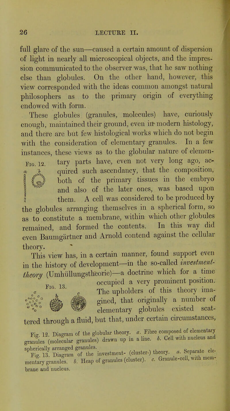 full glare of the sun—caused a certain amount of dispersion of light in nearly all microscopical objects, and the impres- sion communicated to the observer was, that he saw nothing else than globules. On the other hand, however, this view corresponded with the ideas common amongst natural philosophers as to the primary origin of everything endowed with form. These globules (granules, molecules) have, curiously enough, maintained their ground, even iir modern histology, and there are but few histological works which do not begin with the consideration of elementary granules. In a few instances, these views as to the globular nature of elemen- Fig. 12. tary parts have, even not very long ago, ac- <*. }0 quired such ascendancy, that the composition, (2$ both of the primary tissues in the embryo and also of the later ones, was based upon them. A cell was considered to be produced by the globules arranging themselves in a spherical form, so as to constitute a membrane, within which other globules remained, and formed the contents. In this way did even Baumgärtner and Arnold contend against the cellular theory. This view has, in a certain manner, found support even in the history of development—in the so-called investment- theory (Umhüllungstheorie)—a doctrine which for a time occupied a very prominent position. The upholders of this theory ima- occupied a very prominent position. Fig. 13. Wfr (ftl gined, that originally a number of ^Sr elementary globules existed scat tered through a fluid, but that, under certain circumstances, Fie 12. Diagram of the globular theory, a. Fibre composed of elementary granules (molecular granules) drawn up in a line. b. Cell with nucleus and IfSSSTSTta—■ (cluster, theory. , Separate ele- mentary granules, b. Heap of granules (cluster), c. Granule-cell, with mem- brane and nucleus.