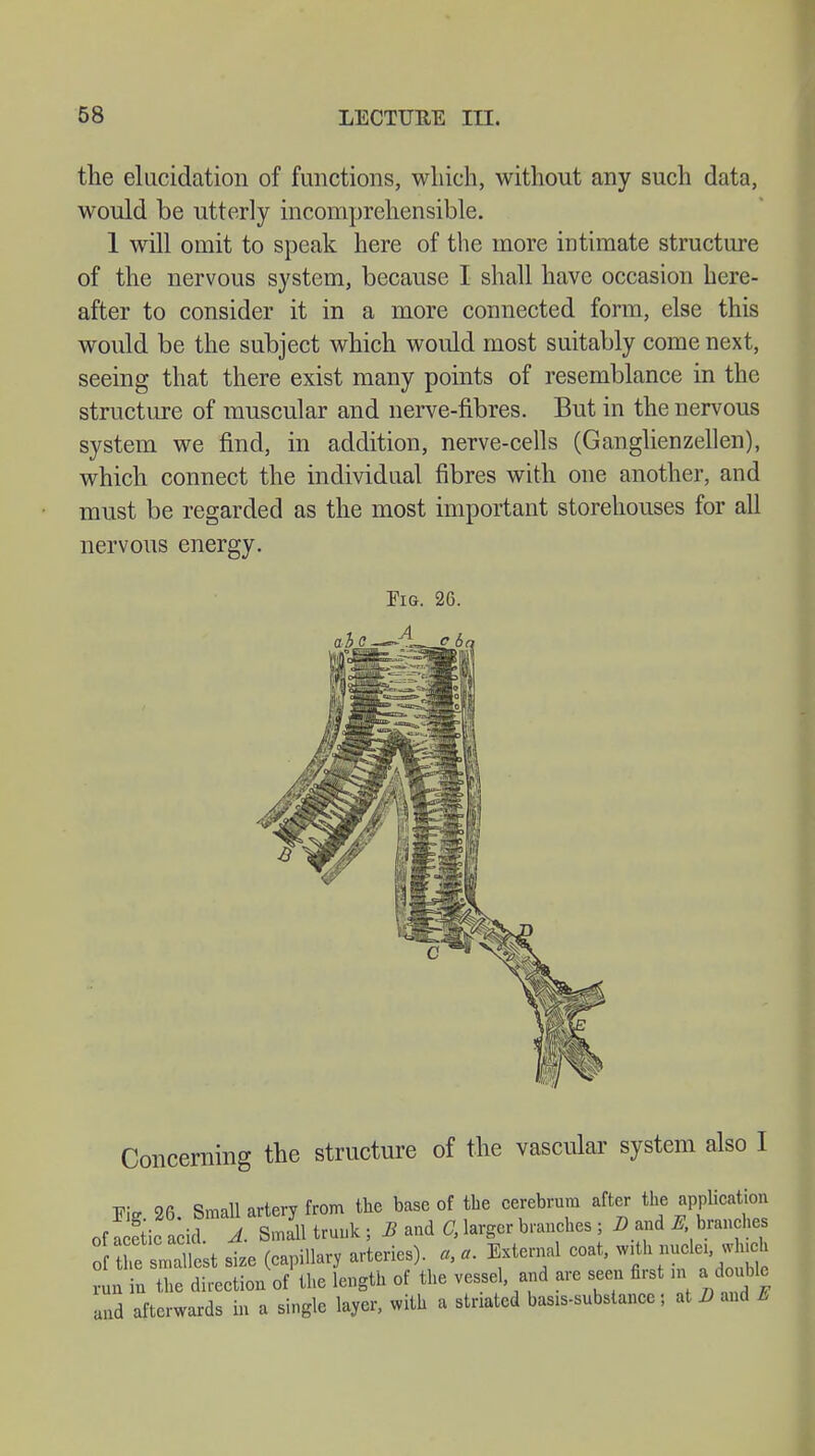 the elucidation of functions, which, without any such data, would be utterly incomprehensible. 1 will omit to speak here of the more intimate structure of the nervous system, because I shall have occasion here- after to consider it in a more connected form, else this would be the subject which would most suitably come next, seeing that there exist many points of resemblance in the structure of muscular and nerve-fibres. But in the nervous system we find, in addition, nerve-cells (Ganglienzellen), which connect the individual fibres with one another, and must be regarded as the most important storehouses for all nervous energy. Fig. 26. Concerning the structure of the vascular system also I Ei* 26 Small artery from the base of tbe cerebrum after the application ofS^acid ^. SnSl trunk; B and C, larger branches; D and ^branches o thfsm'tt size (capillary arteries), a, a. External coat, with nude, which run in tbe direction of tbe length of tbe vessel and are seen first m a double alld afterwards in a single layer, with a striated basis-substance | at D and E