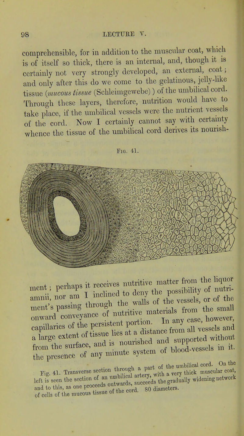 comprehensible, for in addition to the muscular coat, which is of itself so thick, there is an internal, and, though it is certainly not very strongly developed, an external, coat; and only after this do we come to the gelatinous, jelly-like tissue {mucous tissue (Schleimgewebe)) of the umbilical cord. Through these layers, therefore, nutrition would have to take place, if the umbilical vessels were the nutrient vessels of the cord. Now I certainly cannot say with certainty whence the tissue of the umbilical cord derives its nourish- Fig. 41. onward conveyance of nntntave ntatt> capillaries of the percent P*«£j*£* and STp^ of 'any nnnute syste. of blood-vessels » * Kg. 41. Transverse seeüo» - ÄÄ*«1 80deto '