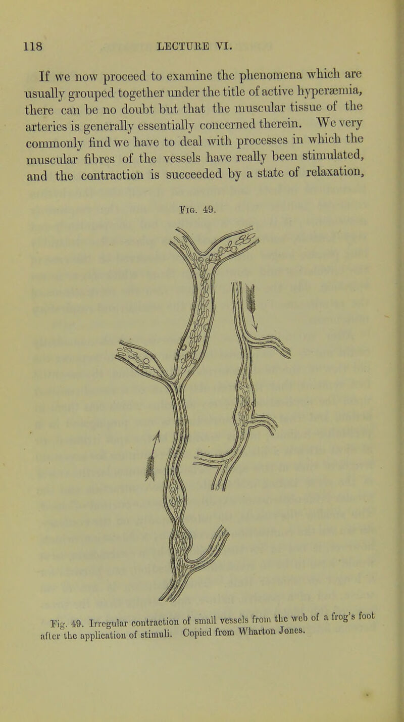 If we now proceed to examine the phenomena which are usually grouped together under the title of active hyperaemia, there can be no doubt but that the muscular tissue of the arteries is generally essentially concerned therein. We very commonly find we have to deal with processes in which the muscular fibres of the vessels have really been stimulated, and the contraction is succeeded by a state of relaxation, Fig. 49. Kg 49. Irregular contraction of small vessels (Vom the web of ä frog' flcAhe application of stimuli. Copied from Wharton Jones.