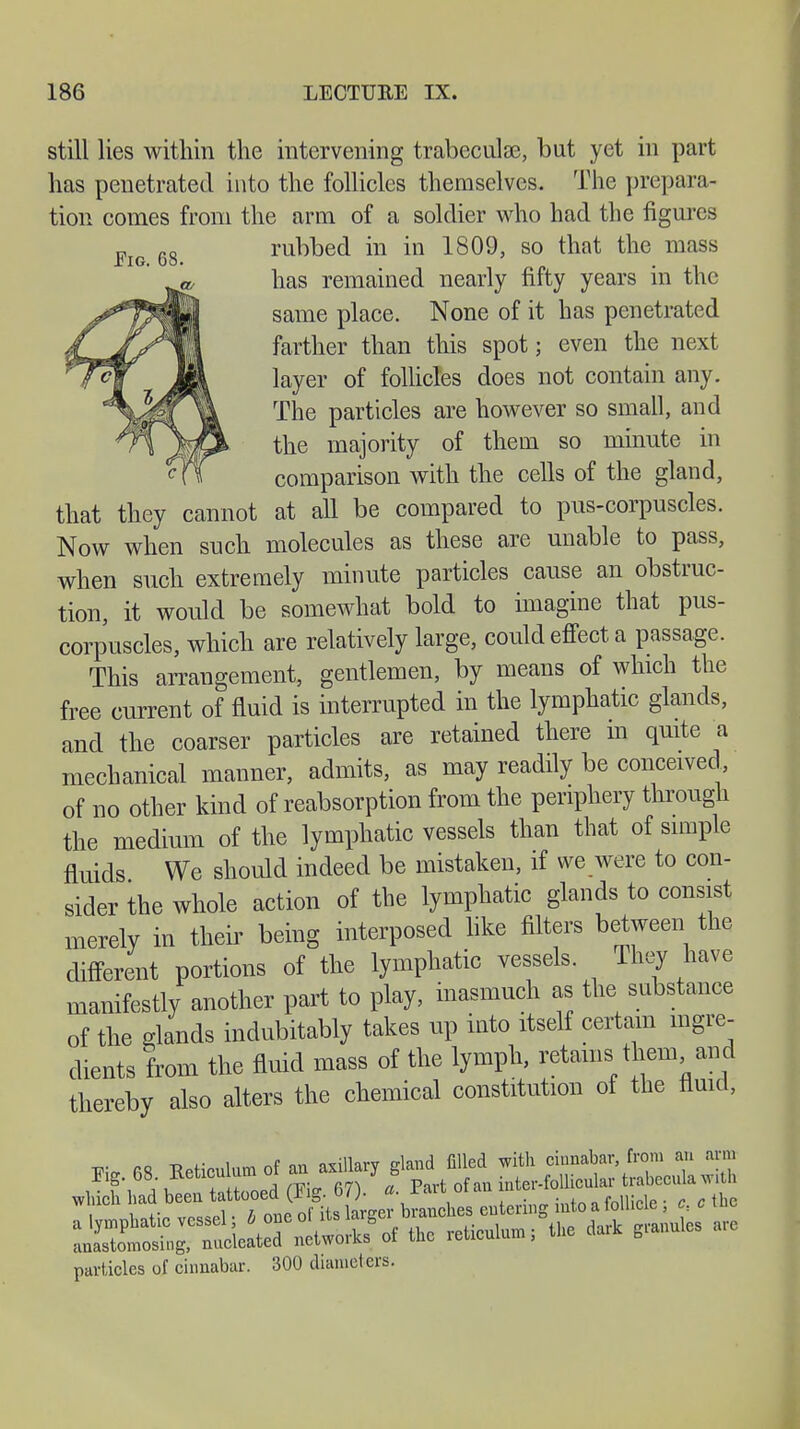 still lies within the intervening trabecule, but yet in part has penetrated into the follicles themselves. The prepara- tion comes from the arm of a soldier who had the figures Fig 68 rubbed in in 1809, so that the mass has remained nearly fifty years in the same place. None of it has penetrated farther than this spot; even the next layer of follicles does not contain any. The particles are however so small, and the majority of them so minute in comparison with the cells of the gland, that they cannot at all be compared to pus-corpuscles. Now when such molecules as these are unable to pass, when such extremely minute particles cause an obstruc- tion, it would be somewhat bold to imagine that pus- corpuscles, which are relatively large, could effect a passage. This arrangement, gentlemen, by means of which the free current of fluid is interrupted in the lymphatic glands, and the coarser particles are retained there m quite a mechanical manner, admits, as may readily be conceived, of no other kind of reabsorption from the periphery through the medium of the lymphatic vessels than that of simple fluids We should indeed be mistaken, if we were to con- sider the whole action of the lymphatic glands to consist merely in their being interposed like filters between the different portions of the lymphatic vessels. They have manifestly another part to play, inasmuch as the substance of the glands indubitably takes up into itself certain ingre- dients from the fluid mass of the lymph, retains them and thereby also alters the chemical constitution of the fluid, TO* fiS Reticulum of au axillary gland filled with cinnabar from an arm Fig. 68. Keticu mm oi b mter-follicular trabecula with particles of cinnabar. 300 diameters.