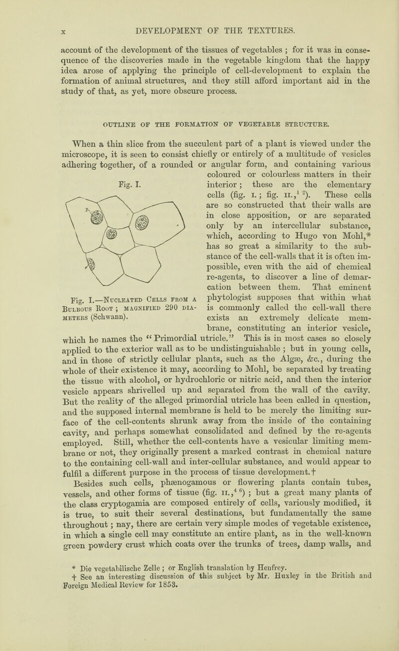 account of the development of the tissues of vegetables ; for it was in conse¬ quence of the discoveries made in the vegetable kingdom that the happy idea arose of applying the principle of cell-development to explain the formation of animal structures, and they still afford important aid in the study of that, as yet, more obscure process. OUTLINE OF THE FORMATION OF VEGETABLE STRUCTURE. When a thin slice from the succulent part of a plant is viewed under the microscope, it is seen to consist chiefly or entirely of a multitude of vesicles adhering together, of a rounded or angular form, and containing various coloured or colourless matters in their interior; these are the elementary cells (fig. i.; fig. ii.,12). These cells are so constructed that their walls are in close apposition, or are separated only by an intercellular substance, which, according to Hugo von Mohl,* has so great a similarity to the sub¬ stance of the cell-walls that it is often im¬ possible, even with the aid of chemical re-agents, to discover a line of demar¬ cation between them. That eminent phytologist supposes that within what is commonly called the cell-wall there exists an extremely delicate mem¬ brane, constituting an interior vesicle, which he names the “Primordial utricle.” This is in most cases so closely applied to the exterior wall as to be undistinguishable ; but in young cells, and in those of strictly cellular plants, such as the Algse, <fcc., during the whole of their existence it may, according to Mohl, be separated by treating the tissue with alcohol, or hydrochloric or nitric acid, and then the interior vesicle appears shrivelled up and separated from the wall of the cavity. But the reality of the alleged primordial utricle has been called in question, and the supposed internal membrane is held to be merely the limiting sur¬ face of the cell-contents shrunk away from the inside of the containing cavity, and perhaps somewhat consolidated and defined by the re-agents employed. Still, whether the cell-contents have a vesicular limiting mem¬ brane or not, they originally present a marked contrast in chemical nature to the containing cell-wall and inter-cellular substance, and would appear to fulfil a different purpose in the process of tissue development, f Besides such cells, phsenogamous or flowering plants contain tubes, vessels, and other forms of tissue (fig. ii. ,4 6) ; but a great many plants of the class cryptogamia are composed entirely of cells, variously modified, it is true, to suit their several destinations, but fundamentally the same throughout; nay, there are certain very simple modes of vegetable existence, in which a single cell may constitute an entire plant, as in the well-known green powdery crust which coats over the trunks of trees, damp walls, and * Die vegetabilische Zelle ; or English translation by Henfrey. + See an interesting discussion of this subject by Mr. Huxley in the British and Foreign Medical Review for 1853. Fig. I. Fig. I.—Nucleated Cells from a Bulbous Root ; magnified 290 dia¬ meters (Schwann).