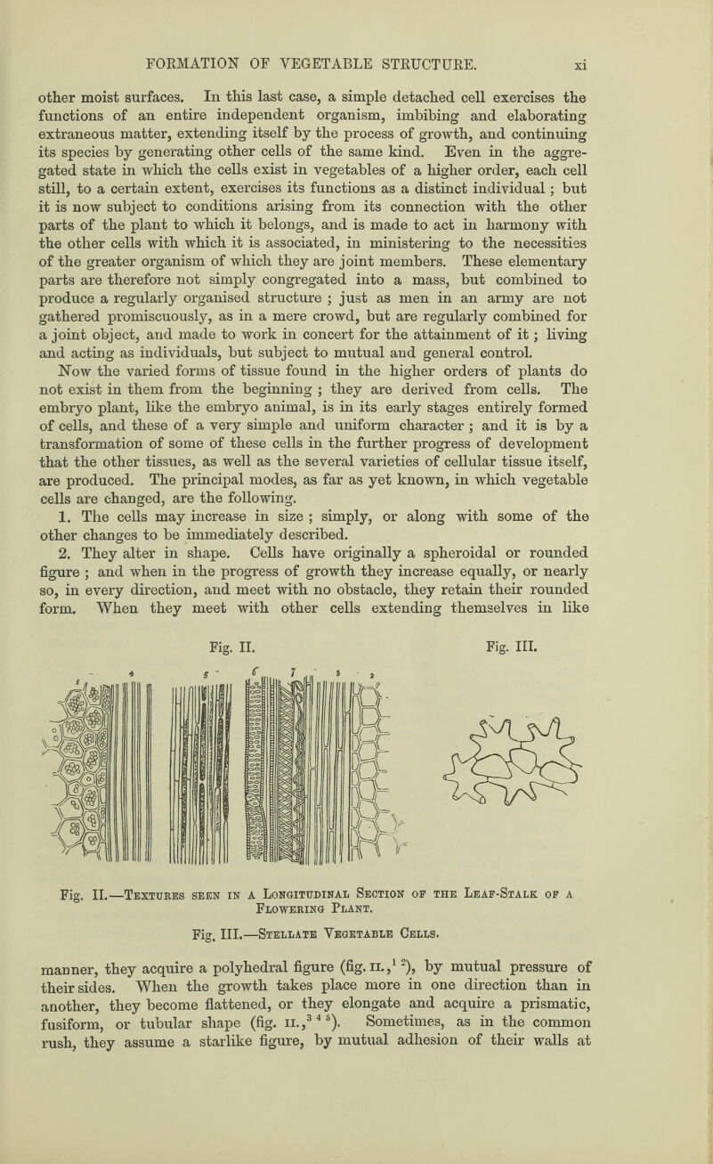 FORMATION OF VEGETABLE STRUCTURE. other moist surfaces. In this last case, a simple detached cell exercises the functions of an entire independent organism, imbibing and elaborating extraneous matter, extending itself by the process of growth, and continuing its species by generating other cells of the same kind. Even in the aggre¬ gated state in which the cells exist in vegetables of a higher order, each cell still, to a certain extent, exercises its functions as a distinct individual; but it is now subject to conditions arising from its connection with the other parts of the plant to which it belongs, and is made to act in harmony with the other cells with which it is associated, in ministering to the necessities of the greater organism of which they are joint members. These elementary parts are therefore not simply congregated into a mass, but combined to produce a regularly organised structure ; just as men in an army are not gathered promiscuously, as in a mere crowd, but are regularly combined for a joint object, and made to work in concert for the attainment of it; living and acting as individuals, but subject to mutual and general control. Now the varied forms of tissue found in the higher orders of plants do not exist in them from the beginning ; they are derived from cells. The embryo plant, like the embryo animal, is in its early stages entirely formed of cells, and these of a very simple and uniform character ; and it is by a transformation of some of these cells in the further progress of development that the other tissues, as well as the several varieties of cellular tissue itself, are produced. The principal modes, as far as yet known, in which vegetable cells are changed, are the following. 1. The cells may increase in size ; simply, or along with some of the other changes to be immediately described. 2. They alter in shape. Cells have originally a spheroidal or rounded figure ; and when in the progress of growth they increase equally, or nearly so, in every direction, and meet with no obstacle, they retain their rounded form. When they meet with other cells extending themselves in like Fig. II. Fig. III. Fig. II.—Textures seen in a Longitudinal Section op the Leaf-Stalk op a Flowering Plant. Fig. III.—Stellate Vegetable Cells. manner, they acquire a polyhedral figure (fig.n.,12), by mutual pressure of their sides. When the growth takes place more in one direction than in another, they become flattened, or they elongate and acquire a prismatic, fusiform, or tubular shape (fig. n.,3 4 5). Sometimes, as in the common rush, they assume a starlike figure, by mutual adhesion of their walls at