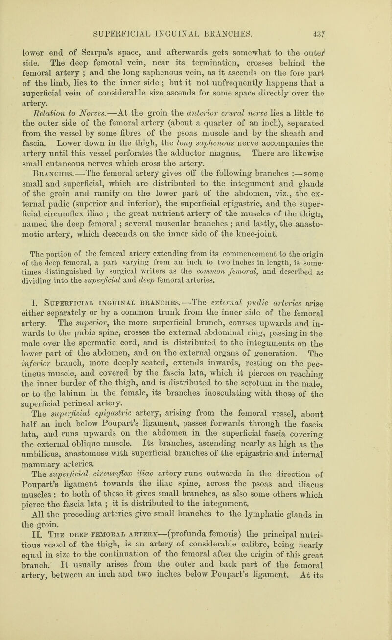 lower end of Scarpa’s space, and afterwards gets somewhat to the outer side. The deep femoral vein, near its termination, crosses behind the femoral artery ; and the long saphenous vein, as it ascends on the fore part of the limb, lies to the inner side ; but it not unfrequently happens that a superficial vein of considerable size ascends for some space directly over the artery. JRelation to Nerves.—At the groin the anterior crural nerve lies a little to the outer side of the femoral artery (about a quarter of an inch), separated from the vessel by some fibres of the psoas muscle and by the sheath and fascia. Lower down in the thigh, the long saphenous nerve accompanies the artery until this vessel perforates the adductor magnus. There are likewise small cutaneous nerves which cross the artery. Branches.—The femoral artery gives off the following branches :—some small and superficial, which are distributed to the integument and glands of the groin and ramify on the lower part of the abdomen, viz., the ex¬ ternal pudic (superior and inferior), the superficial epigastric, and the super¬ ficial circumflex iliac ; the great nutrient artery of the muscles of the thigh, named the deep femoral ; several muscular branches ; and lastly, the anasto¬ motic artery, which descends on the inner side of the knee-joint. The portion of the femoral arteiy extending from its commencement to the origin of the deep femoral, a part varying from an inch to two inches in length, is some¬ times distinguished by surgical writers as the common femoral, and described as dividing into the superficial and deep femoral arteries. I. Superficial inguinal branches.—The external pudic arteries arise either separately or by a common trunk from the inner side of the femoral artery. The superior, the more superficial branch, courses upwards and in¬ wards to the pubic spine, crosses the external abdominal ring, passing in the male over the spermatic cord, and is distributed to the integuments on the lower part of the abdomen, and on the external organs of generation. The inferior branch, more deeply seated, extends inwards, resting on the pec- tineus muscle, and covered by the fascia lata, which it pierces on reaching the inner border of the thigh, and is distributed to the scrotum in the male, or to the labium in the female, its branches inosculating with those of the superficial perineal artery. The superficial epigastric artery, arising from the femoral vessel, about half an inch below Poupart’s ligament, passes forwards through the fascia lata, and runs upwards on the abdomen in the superficial fascia covering the external oblique muscle. Its branches, ascending nearly as high as the umbilicus, anastomose with superficial branches of the epigastric and internal mammary arteries. The superficial circumflex iliac artery runs outwards in the direction of Poupart’s ligament towards the iliac spine, across the psoas and iliacus muscles : to both of these it gives small branches, as also some others which pierce the fascia lata ; it is distributed to the integument. All the preceding arteries give small branches to the lymphatic glands in the groin. II. The deep femoral artery—(profunda femoris) the principal nutri¬ tious vessel of the thigh, is an artery of considerable calibre, being nearly equal in size to the continuation of the femoral after the origin of this great branch. It usually arises from the outer and back part of the femoral artery, between an inch and two inches below Poupart’s ligament. At its