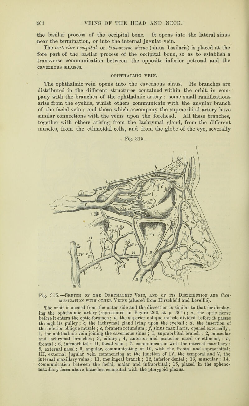 the basilar process of the occipital bone. It opens into the lateral sinus near the termination, or into the internal j ugular vein. The anterior occipital or transverse sinus (sinus basilaris) is placed at the fore part of the basilar process of the occipital bone, so as to establish a transverse communication between the opposite inferior petrosal and the cavernous sinuses. OPHTHALMIC VEIN. The ophthalmic vein opens into the cavernous sinus. Its branches are distributed in the different structures contained within the orbit, in com¬ pany with the branches of the ophthalmic artery : some small ramifications arise from the eyelids, whilst others communicate with the angular branch of the facial vein ; and those which accompany the supraorbital artery have similar connections with the veins upon the forehead. All these branches, together with others arising from the lachrymal gland, from the different muscles, from the ethmoidal cells, and from the globe of the eye, severally Fig. 315. Fig. 315.—Sketch op the Ophthalmic Vein, and op its Distribution and Com¬ munication with other Veins (altered from Hirschfeld and Leveill5). The orbit is opened from the outer side and the dissection is similar to that for display¬ ing the ophthalmic artery (represented in Figure 260, at p. 361) ; a, the optic nerve before it enters the optic foramen; b, the superior oblique muscle divided before it passes through its pulley ; c, the lachrymal gland lying upon the eyeball; d, the insertion of the inferior oblique muscle ; e, foramen rotundum ; /, sinus maxillaris, opened externally ; I, the ophthalmic vein joining the cavernous sinus ; 1, supraorbital branch ; 2, muscular and lachrymal branches; 3, ciliary ; 4, anterior and posterior nasal or ethmoid, ; 5, frontal ; 6, infraorbital ; II, facial vein ; 7, communication with the internal maxillary ; 8, external nasal; 9, angular, communicating at 10, with the frontal and supraorbital; III, external jugular vein commencing at the junction of IV, the temporal and V, the internal maxillary veins; 11, meningeal branch ; 12, inferior dental; 13, muscular; 14, communication between the facial, malar and infraorbital; 15, placed in the spheno¬ maxillary fossa above branches connected with the pterygoid plexus.