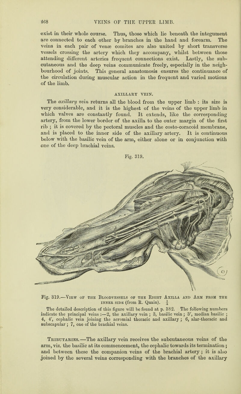 exist in their whole course. Thus, those which lie beneath the integument are connected to each other by branches in the hand and forearm. The veins in each pair of venae comites are also united by short transverse vessels crossing the artery which they accompany, whilst between those attending different arteries frequent connections exist. Lastly, the sub¬ cutaneous and the deep veins communicate freely, especially in the neigh¬ bourhood of joints. This general anastomosis ensures the continuance of the circulation during muscular action in the frequent and varied motions of the limb. AXILLARY VEIN. The axillary vein returns all the blood from the upper limb : its size is very considerable, and it is the highest of the veins of the upper limb in which valves are constantly found. It extends, like the corresponding artery, from the lower border of the axilla to the outer margin of the first rib ; it is covered by the pectoral muscles and the costo-coracoid membrane, and is placed to the inner side of the axillary artery. It is continuous below with the basilic vein of the arm, either alone or in conjunction with one of the deep brachial veins. Fig. 319. Fig. 319.—View of the Bloodvessels of the Right Axilla and Arm from the inner side (from R. Quain). \ The detailed desci’iption of this figure will he found at p. 382. The following numbers indicate the principal veins :—2, the axillary vein ; 3, basilic vein; 3', median basilic ; 4, 4', cephalic vein joining the acromial thoracic and axillary ; 6, alar-thoracic and subscapular; 7, one of the brachial veins. Tributaries.—The axillary vein receives the subcutaneous veins of the arm, viz. the basilic at its commencement, the cephalic towards its termination; and between these the companion veins of the brachial artery ; it is also joined by the several veins corresponding with the branches of the axillary