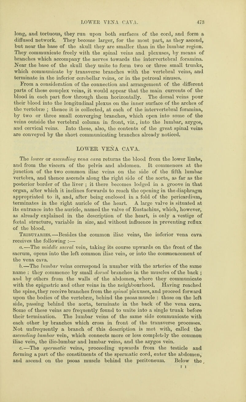 long, and tortuous, they run upon both surfaces of the cord, and form a diffused network. They become larger, for the most part, as they ascend, but near the base of the skull they are smaller than in the lumbar region. They communicate freely with the spinal veins and plexuses, by means of branches which accompany the nerves towards the intervertebral foramina. Near the base of the skull they unite to form two or three small trunks, which communicate by transverse branches with the vertebral veins, and terminate in the inferior cerebellar veiDS, or in the petrosal sinuses. From a consideration of the connection and arrangement of the different parts of these complex veins, it would appear that the main currents of the blood in each part flow through them horizontally. The dorsal veins pour their blood into the longitudinal plexus on the inner surface of the arches of the vertebrae ; thence it is collected, at each of the intervertebral foramina, by two or three small converging branches, which open into some of the veins outside the vertebral column in front, viz., into the lumbar, azygos, and cervical veins. Into these, also, the contents of the great spinal veins are conveyed by the short communicating branches already noticed. LOWER VENA CAYA. The lower or ascending vena cava returns the blood from the lower limbs, and from the viscera of the pelvis and abdomen. It commences at the junction of the two common iliac veins on the side of the fifth lumbar vertebra, and thence ascends along the right side of the aorta, as far as the posterior border of the liver ; it there becomes lodged in a groove in that organ, after which it inclines forwards to reach the opening in the diaphragm appropriated to it, and, after being enclosed in a fold of the pericardium, terminates in the right auricle of the heart. A large valve is situated at its entrance into the auricle, named the valve of Eustachius, which, however, as already explained in the description of the heart, is only a vestige of foetal structure, variable in size, and without influence in preventing reflux of the blood. Tributaries.—Besides the common iliac veins, the inferior vena cava receives the following :— a. —The middle sacral vein, taking its course upwards on the front of the sacrum, opens into the left common iliac vein, or into the commencement of the vena cava. b. —The lumbar veins correspond in number with the arteries of the same name : they commence by small dorsal branches in the muscles of the back ; and by others from the walls of the abdomen, where they communicate with the epigastric and other veins in the neighbourhood. Having reached the spine, they receive branches from the spinal plexuses, and proceed forward upon the bodies of the vertebrae, behind the psoas muscle : those on the left side, passing behind the aorta, terminate in the back of the vena cava. Some of these veins are frequently found to unite into a single trunk before their termination. The lumbar veins of the same side communicate with each other by branches which cross in front of the transverse processes. Not unfrequently a branch of this description is met with, called the ascending lumbar vein, which connects more or less completely the common iliac vein, the ilio-lumbar and lumbar veins, and the azygos vein. c. —The spermatic veins, proceeding upwards from the testicle and forming a part of the constituents of the spermatic cord, enter the abdomen, and ascend on the psoas muscle behind the peritoneum. Below the, i i