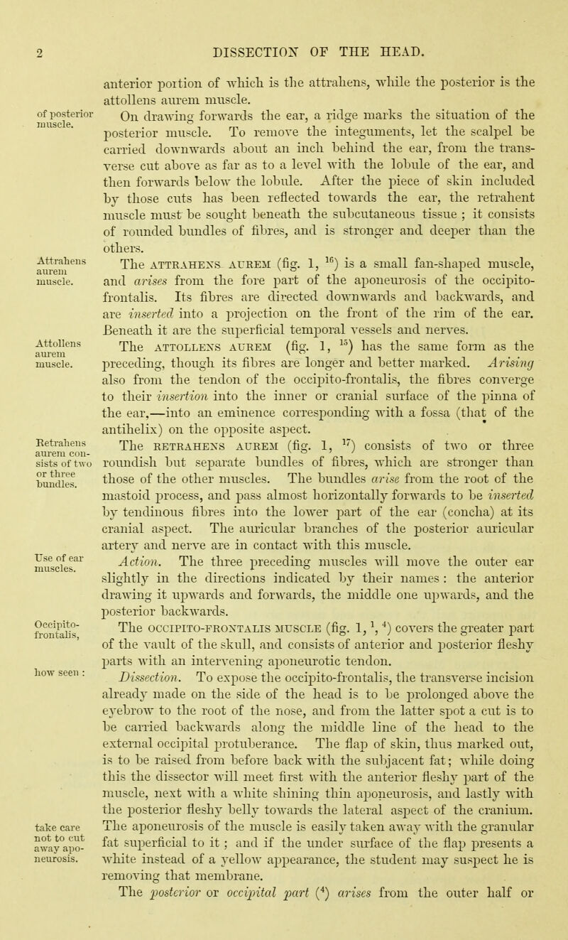of posterior nniscle. Attraheus aurem muscle. Attollens aurem muscle. Eetraliens aurem con- sists of two or three ■bundles. Use of ear muscles. Occipito- frontalis, liow seen take care not to cut away apo- neurosis. anterior poition of wliicli is the attraliens, while the posterior is the attollens aurem mnscle. On drawing forwards the ear, a ridge marks the situation of the posterior muscle. To remove the integuments, let the scalpel be carried downwards ahout an inch, behind the ear, from the trans- verse cut above as far as to a level with the lobule of the ear, and then forwards below the lobule. After the piece of skin included by those cuts has been reflected towards the ear, the retrahent muscle must be sought beneath the subcutaneous tissue ; it consists of rounded bundles of fibres, and is stronger and deeper than the others. The ATTRAHEXS aure:m (fig. 1, '^^') is a small fan-shaped muscle, and arises from the fore part of the aponeurosis of the occipito- frontalis. Its fibres are directed^ downwards and backwards, and are inserted into a projection on the front of the rim of the ear. Beneath it are the superficial temporal vessels and nerves. The ATTOLLEXS AUREM (fig. 1, ^'^) has the same form as the preceding, though its fibres are longer and better marked. Arising also from the tendon of the occipito-frontalis, the fibres converge to their insertion into the inner or cranial surface of the pinna of the ear,—into an eminence corresponding with a fossa (that of the antihelix) on the opposite aspect. The RETRAHEXS AUREM (fig. 1, consists of two or three roundish but separate bundles of fibres, which are stronger than those of the other muscles. The bundles arise from the root of the mastoid process, and pass almost horizontally forwards to be inserted by tendinous fibres into the lower part of the ear (concha) at its cranial aspect. The auricular branches of the posterior auricular artery and nerve are in contact with this muscle. Action. The three preceding muscles will move the outer ear slightly in the directions indicated by their names : the anterior drawing it upwards and forwards, the middle one upwards, and the posterior backwards. The occiPiTO-FROXTALis MUSCLE (fig. 1, \ covcrs the greater part of the vault of the skull, and consists of anterior and posterior fleshy parts with an intervening aponeurotic tendon. Dissection. To expose the occipito-frontalis, the transverse incision already made on the side of the head is to be prolonged above the eyebrow to the root of the nose, and from the latter spot a cut is to be carried backwards along the middle line of the head to the external occipital protuberance. The flap of skin, thus marked out, is to be raised from before back with the subjacent fat; while doing this the dissector will meet first with the anterior fleshy part of the muscle, next with a white shining thin aponeurosis, and lastly with the posterior fleshy belly towards the lateral aspect of the cranium. The aponeurosis of the muscle is easily taken away with the granular fat superficial to it ; and if the under surface of the flap presents a white instead of a yellow appearance, the student may suspect he is removing that membrane. The i^ostcrior or occijntcd 'part (^) cniscs from the outer half or