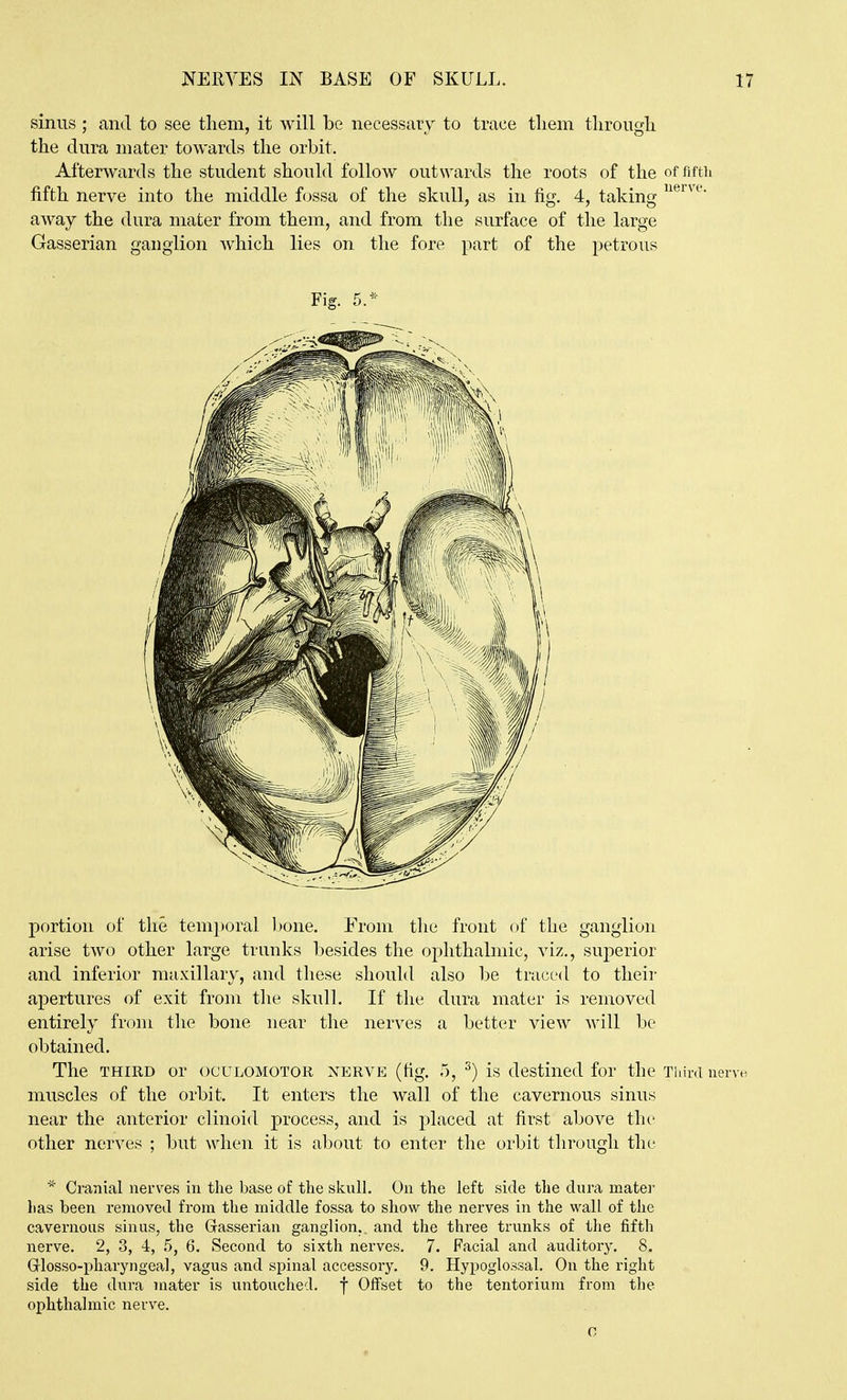 sinus ; and to see them, it will be necessary to trace tliem tlirougli the dura mater towards the orbit. Afterwards the student should follow outwards the roots of the of fiftii fifth nerve into the middle fossa of the skull, as in fig. 4, taking away the dura mater from them, and from the surface of the large Gasserian ganglion which lies on the fore part of the petrous portion of the temporal Ijone. From the front of the ganglion arise two other large trunks besides the ophthalmic, viz., superior and inferior maxillary, and these should also be traced to their apertures of exit from the skull. If the dura mater is removed entirely from the bone near the nerves a better view will be obtained. The THIRD or oculomotor nerve (fig. 5, ^) is destined for the Third nerve muscles of the orbit. It enters the wall of the cavernous sinus near the anterior clinoid process, and is placed at first above the other nerves ; but when it is about to enter the orbit through the Cranial nerves in the base of the skull. On the left side the dura mater has been removed from the middle fossa to show the nerves in the wall of the cavernous sinus, the Oasserian ganglion,, and the three trunks of the fifth nerve. 2, 3, 4, 5, 6. Second to sixth nerves. 7. Facial and auditory. 8. Glosso-iDharyngeal, vagus and spinal accessory. 9. Hypoglossal. On the right side the dura mater is untouched, f Offset to the tentorium from the ophthalmic nerve. C