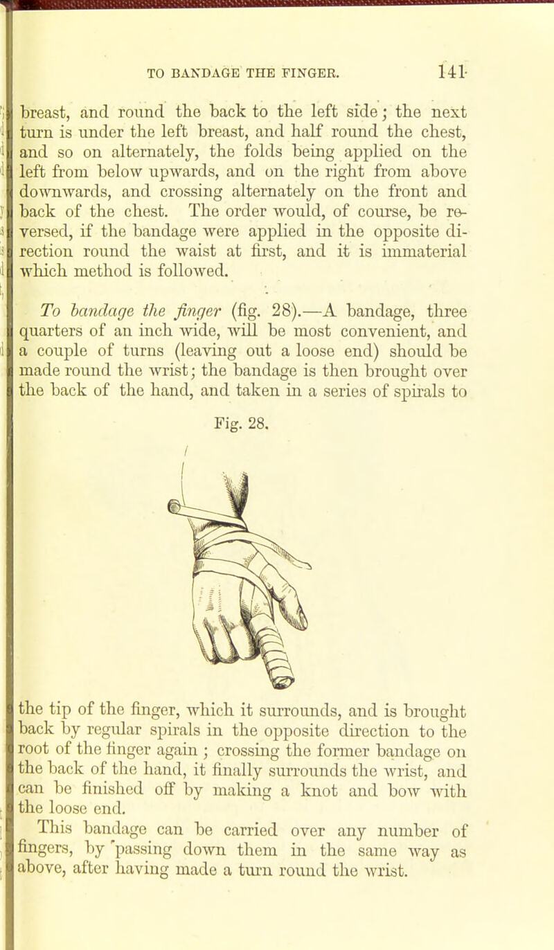 breast, and round the back to the left side; the next turn is under the left breast, and half round the chest, and so on alternately, the folds being applied on the left from below upwards, and on the right from above downwards, and crossing alternately on the front and back of the chest. The order would, of course, be re- versed, if the bandage were applied in the opposite di- rection round the waist at first, and it is immaterial which method is followed. To bandage the finger (fig. 28).—A bandage, three quarters of an inch wide, will be most convenient, and a couple of turns (leaving out a loose end) should be made round the Avrist; the bandage is then brought over the back of the hand, and taken in a series of spirals to Fig. 28, / the tip of the finger, which it surrounds, and is brought back by regular spirals in the opposite direction to the root of the finger again ; crossing the former ba,ndage on the back of the hand, it finally sui-rounds the wrist, and can be finished off by maldng a knot and bow with the loose end. This bandage can be carried over any number of fingers, by 'passing down them in the same way as above, after having made a turn round the wrist.