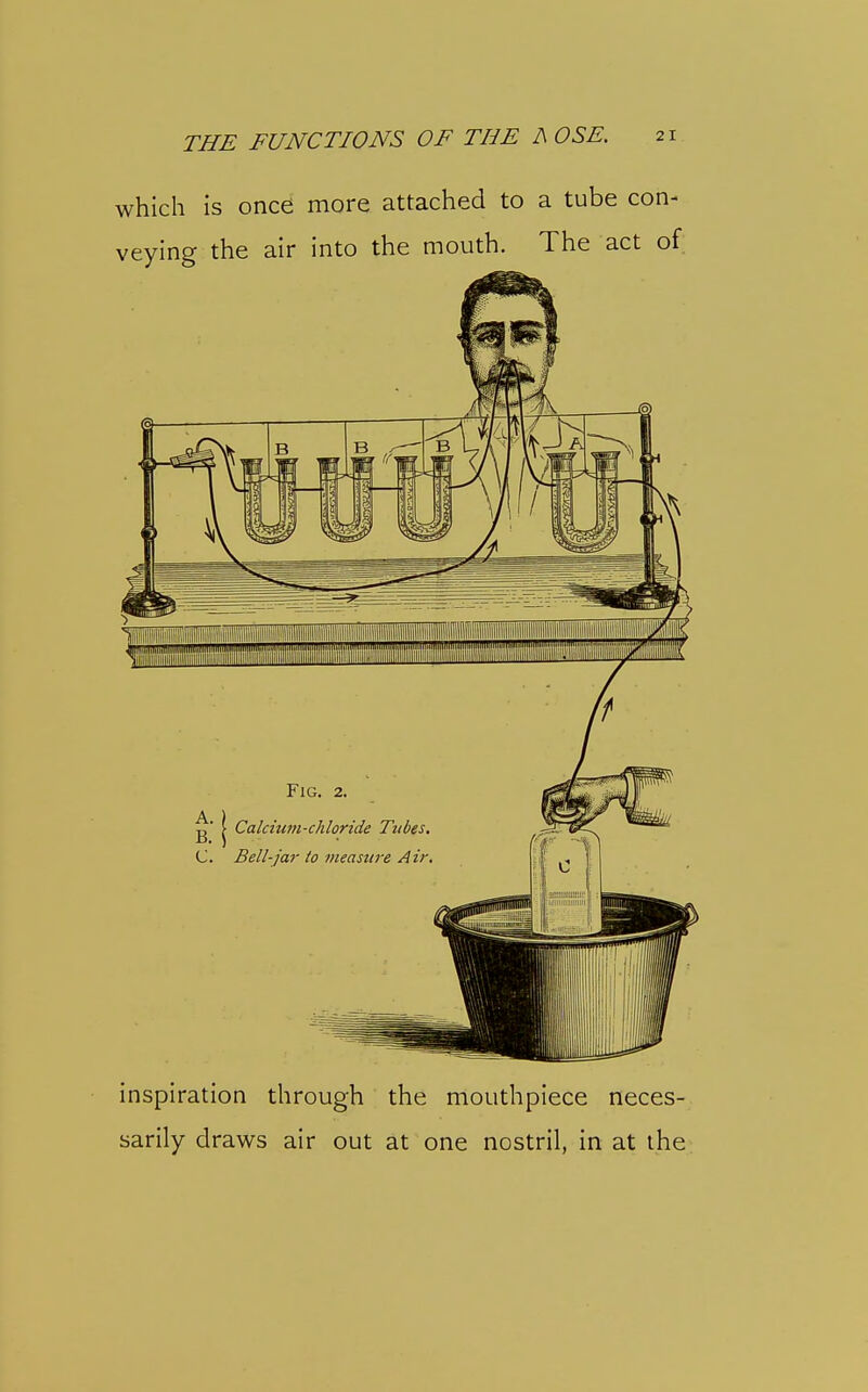 which is once more attached to a tube con- veying the air into the mouth. The act of inspiration through the mouthpiece neces- sarily draws air out at one nostril, in at the