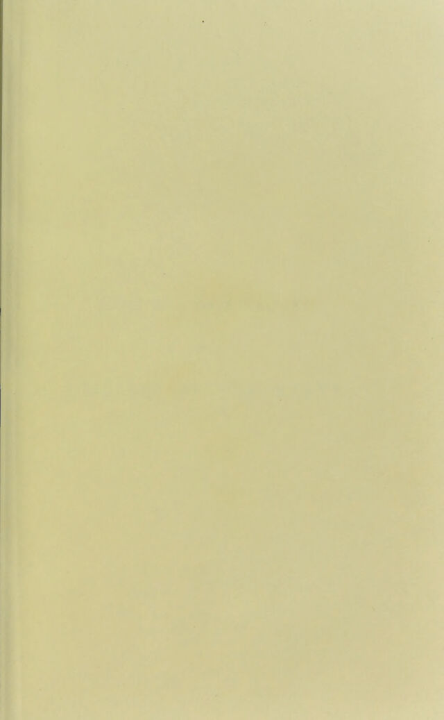 digitised image 3