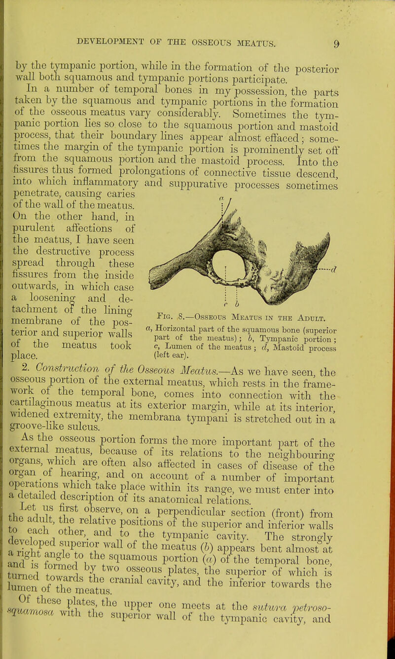 by the tympanic portion, while in the formation of the posterior wall both squamous and tympanic portions participate. In a number of temporal bones in my possession, the parts taken by the squamous and tympanic portions in the formation of the osseous meatus vary considerably. Sometimes the tym- panic portion lies so close to the squamous portion and mastoid process, that their boundary lines appear almost effaced; some- times the margin of the tympanic portion is prominently set off from the squamous portion and the mastoid process. Into the fissures thus formed prolongations of connective tissue descend into which mflammatory and suppurative processes sometimes penetrate, causing caries of the wall of^the meatus. ^^^^^' ^ fissures from the inside ^^^^^^^^^^^^^m'''1 outwards, in Avhich case ij^^^JjpP^ tachment of the lining „ n h membrane of the pos- S.-Osseous Meatus in the Adult. terior anrl snnprinr wolle; Honzontal part of the squamous bone (superior tenor ana supenor wails parfc of the meatus). b> Tympanic porFtion 01 tne meatus took c, Lumen of the meatus; d, Mastoid process place. (left ear). 2. Construction of the Osseous Meatus.—As we have seen the osseous portion of the external meatus, which rests in the frame- work of the temporal bone, comes into connection with the cartilaginous meatus at its exterior margin, while at its interior widened extremity, the membrana tympani is stretched out in a groove-like sulcus. As the osseous portion forms the more important part of the external meatus, because of its relations to the neighbouring organs, which are often also affected in cases of disease of thS organ of hearing, and on account of a number of important operations which take place within its range, we must enter into a detailed description of its anatomical relations fchP 1? ,i!St °iTVe' °n- -a PerPendi™lar section (front) from to each other and to the tympanic cavity. The strongly Ld k K i ! S(luamoils P°rtl°n (a) of the temporal bone, tu Ld tn3 £ tW° ^f08.Plates, the superior of which is ^^^^^^ the inferior towards thG