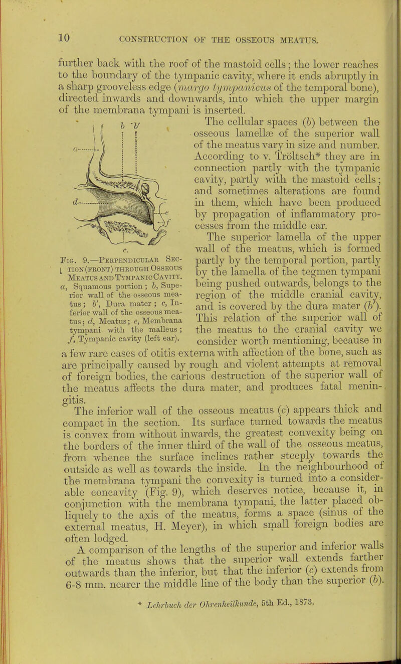 further back with the roof of the mastoid cells; the lower reaches to the boundary of the tympanic cavity, where it ends abruptly in a sharp grooveless edge {nuirgo lympan lea* of the temporal bone), directed inwards and downwards, into which the upper margin of the membrana tympani is inserted. The cellular spaces (h) between the osseous lamella? of the superior wall of the meatus vary hi size and number. According to v. Tröltsch* they are in connection partly with the tympanic cavity, partly with the mastoid ceUs; and sometimes alterations are found in them, which have been produced by propagation of inflammatory pro- cesses from the middle ear. The superior lamella of the upper wall of the meatus, which is formed partly by the temporal portion, partly ty the lamella of the tegmen tympani being pushed outwards, belongs to the region of the middle cranial cavity, and is covered by the dura mater (&'). This relation of the superior wall of the meatus to the cranial cavity we consider worth mentioning, because in a few rare cases of otitis externa with affection of the bone, such as are principally caused by rough and violent attempts at removal of foreign bodies, the carious destruction of the superior wall of the meatus affects the dura mater, and produces fatal menin-, Fig. 9.—Perpendicular Sec- [ tion (front) through Osseous Meatus and Tympanic Cavity. a, Squamous portion ; b, Supe- rior wall of the osseous mea- tus ; b', Dura mater ; c, In- ferior wall of the osseous mea- tus ; d, Meatus; e, Membrana tympani with the malleus; f, Tympanic cavity (left ear). gltlS The inferior wall of the osseous meatus (c) appears thick and compact in the section. Its surface turned towards the meatus is convex from without inwards, the greatest convexity being on the borders of the inner third of the wall of the osseous meatus, from whence the surface inclines rather steeply towards the outside as well as towards the inside. In the neighbourhood of the membrana tympani the convexity is turned into a consider- able concavity (Fig. 9), which deserves notice, because it, m conjunction with the membrana tympani, the latter placed ob- liquely to the axis of the meatus, forms a space (sinus of the external meatus, H. Meyer), in which small foreign bodies are often lodged. . . . ' A comparison of the lengths of the superior and interior walls of the meatus shows that the superior wall extends farther outwards than the inferior, but that the inferior (c) extends from 6-8 mm. nearer the middle line of the body than the superior (b). Lehrbuch der Ohrenheilkunde, 5th Ed., 1S73.