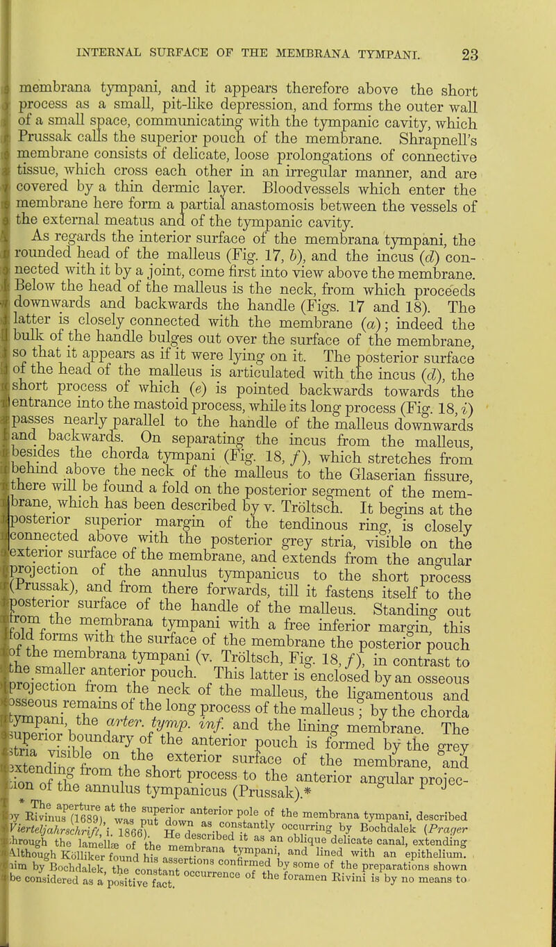 membrana tympani, and it appears therefore above the short process as a small, pit-like depression, and forms the outer wall of a small space, communicating with the tympanic cavity, which Prussak calls the superior pouch of the membrane. ShrapnelTs membrane consists of delicate, loose prolongations of connective tissue, which cross each other in an irregular manner, and are covered by a thin dermic layer. Bloodvessels which enter the membrane here form a partial anastomosis between the vessels of the external meatus and of the tympanic cavity. As regards the interior surface of the membrana tympani, the rounded head of the malleus (Fig. 17, b), and the incus (d) con- nected with it by a joint, come first into view above the membrane. Below the head of the malleus is the neck, from which proceeds downwards and backwards the handle (Figs. 17 and 18). The latter is closely connected with the membrane (a); indeed the bulk of the handle bulges out over the surface of the membrane, so that it appears as if it were lying on it. The posterior surface of the head of the malleus is articulated with the incus (d), the short process of which (e) is pointed backwards towards the entrance into the mastoid process, while its long process (Fio- 18 i) passes nearly paraUel to the handle of the malleus downwards and backwards. On separating the incus from the malleus besides the chorda tympani (Fig. 18, /), which stretches from benmd above the neck of the maUeus to the Glaserian fissure there will be found a fold on the posterior segment of the mem- brane, which has been described by v. Tröltsch. It begins at the posterior superior margin of the tendinous ring, is closely connected above with the posterior grey stria, visible on the .exterior surface of the membrane, and extends from the angular projection of the annulus tympanicus to the short process :(Frussak), and from there forwards, till it fastens itself to the •posterior surface of the handle of the maUeus. Standing out rom the membrana tympani with a free inferior margin this told forms with the surface of the membrane the posterior pouch of the membrana tympani (v. Tröltsch, Fig. 18,/), in contrast to ™WUer,anteT P0^- /his latter isWo'sed by an osseous m Tk °f the malleus> tne ligamentous and tZZi ? th/ bng F2cess of the maUeus ■ by the chorda tympani the arter. tymp. inf. and the lining membrane The ^z^r^ the anterior rich is &med ^ ^ ^^LZ\^\ efen0r SUr&Ce °f the Bernde, and fon ofX 6 ?°rt pr0CeSS t0 the anterior angular projec- tion ot the annulus tympanicus (Prussak) * ^ J ^ÄmTÄTwas6 Slwnnteri0r the me^rana tympani, described VierteljalJchrif 'i 1866^ occrrinS by Bochdalek [Präger trough the TmeL of L ^^^V' aS ^ °bH(lUe delicate canal> extending ^though Kölker ^ ^P™, and lined with an epithelium, lim by BoVÄlek the const3 ^  COnfirl?ed hy ™™ °f the preparations shown be considered asa positivefact occ™e of the foramen Rivini is by no means to