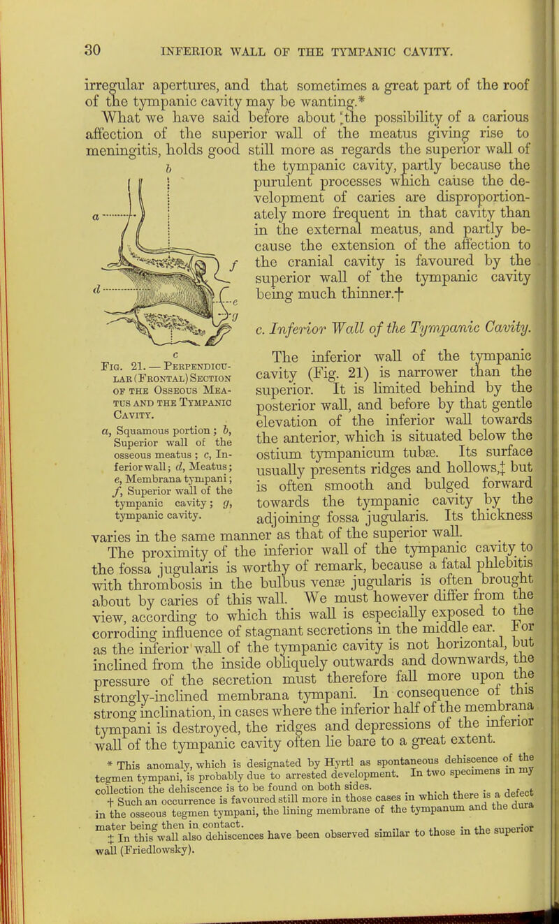 irregular apertures, and that sometimes a great part of the roof of the tympanic cavity may be wanting.* What we have said before about l,the possibility of a carious affection of the superior wall of the meatus giving rise to meningitis, holds good still more as regards the superior wall of the tympanic cavity, partly because the purulent processes which cause the de- velopment of caries are disproportion- ately more frequent in that cavity than in the external meatus, and partly be- cause the extension of the affection to the cranial cavity is favoured by the superior wall of the tympanic cavity being much thinner.-f- c. Inferior Wall of the Tympanic Cavity. The inferior wall of the tympanic cavity (Fig. 21) is narrower than the superior. It is limited behind by the posterior wall, and before by that gentle elevation of the inferior wall towards the anterior, which is situated below the ostium tympanicum tubse. Its surface usually presents ridges and hollows,]: but is often smooth and bulged forward towards the tympanic cavity by the adjoining fossa jugularis. Its thickness varies in the same manner as that of the superior wall. The proximity of the inferior wall of the tympanic cavity; to - the fossa jugularis is worthy of remark, because a fatal phlebitis with thrombosis in the bulbus vense jugularis is often brought about by caries of this wall. We must however differ from the view, according to which this waU is especially exposed to the corroding influence of stagnant secretions m the middle ear. lor as the inferior wall of the tympanic cavity is not horizontal, but inclined from the inside obliquely outwards and downwards, the pressure of the secretion must therefore fall more upon the strongly-inclined membrana tympani. In consequence of this strong inclination, in cases where the inferior half of the membrana tympani is destroyed, the ridges and depressions of the inferior wall of the tympanic cavity often lie bare to a great extent. *This anomaly, which is designated by Hyrtl as spontaneous dehiscence of the tegmen tympani, is probably due to arrested development. In two specimens in my collection the dehiscence is to be found on both sides. + Such an occurrence is favoured still more in those cases m which there is a detect in the osseous tegmen tympani, the lining membrane of the tympanum and the dura TÄtSL have been observed similar to those in the superior wall (Friedlowsky). Fig. 21. — Perpendicu- lar (Feontal) Section of the Osseous Mea- tus and the Tympanic Cavity. a, Squamous portion ; b, Superior wall of the osseous meatus ; c, In- feriorwall; d, Meatus; e, Membrana tynipani; f, Superior wall of the tympanic cavity; g, tympanic cavity.