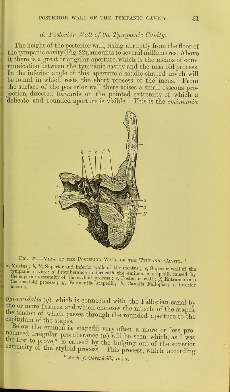 d. Posterior Wall of the Tympanic Cavity. The height of the posterior wall, rising abruptly from the floor of the tymnanic cavity (Fig. 22), amounts to several millimetres. Above it there is a great triangular aperture, which is the means of com- munication between the tympanic cavity and the mastoid process. In the inferior angle of this aperture a saddle-shaped notch will be found, in which rests the short process of the incus. From the surface of the posterior wall there arises a small osseous pro- jection, directed forwards, on the pointed extremity of which a delicate and rounded aperture is visible. This is the eminentia Fig. 22.—View of the Posterior Wall of the Tympanic Cavity. ' o, Meatus; b, b' Superior and inferior walls of the meatus ; c, Superior wall of the tympany cavity; d, Protuberance underneath the eminentia stapedii, caused bv the superior extremity of the styloid process ; e, Posterior wall; /, Entrance into meatus V™™*3Q' Eminenfcia staPedii > h> Canalis Fallopii; i, interior pyramidalis (g), which is connected with the FaUopian canal by one or more fissures, and which encloses the muscle of the stapes, tbe tendon of which passes through the rounded aperture to the capitulum of the stapes. nonäS -he G?bentia ftaPedii very often a more or less pro- the fir^t ,lrregUlaI Fotube™nce wffl be seen, which, as I was extremity of the styloid process. This process, which according * Arch. f. Olirenheillc, vol. x.