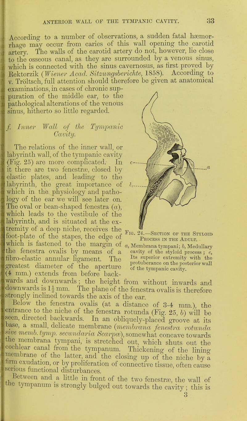 According to a number of observations, a sudden fatal haemor- rhage may occur from caries of this wall opening the carotid artery. The walls of the carotid artery do not, however, he close to the osseous canal, as they are surrounded by a venous sinus, which is connected with the sinus cavernosus, as first proved by Rektorzik (Wiener Acad, Sitzungsberichte, 1858). According to v. Tröltsch, full attention should therefore be given at anatomical examinations, hi cases of chronic sup- puration of the middle ear, to the pathological alterations of the venous sinus, hitherto so little regarded. f. Inner Wall of the Tympanic Cavity. The relations of the inner wall, or labyrinth wall, of the tympanic cavity (Fig. 25) are more complicated. In it there are two fenestra, closed by elastic plates, and leading to the labyrinth, the great importance of which in the physiology and patho- logy of the ear we will see later on. The oval or bean-shaped fenestra (a), which leads to the vestibule of the labyrinth, and is situated at the ex- tremity of a deep niche, receives the J™ „ foot-plate of the stapes, the edge of G' Jfe^^S^™ Which IS fastened to the margin of a> Membrana tympani; 6, Medullary the fenestra ovalis by means of a cavity of the styloid process; c, fibro-elastic annular ligament. The greatest diameter of the aperture (4 mm.) extends from before back- wards and downwards ; the height from without inwards and downwards is 1J mm. The plane of the fenestra ovalis is therefore strongly inclined towards the axis of the ear. Below the fenestra ovalis (at a distance of 3-4 mm.), the entrance to the niche of the fenestra rotunda (Fig. 25, b) will be seen, directed backwards. In an obliquely-placed groove at its base, a small, delicate membrane (memhrana fenestra rotunda svve memb. tymp. secundaria Scarpce), somewhat concave towards the membrana tympani, is stretched out, which shuts out the cochlear canal from the tympanum. Thickening of the lining membrane of the latter, and the closing up of the niche by a hrm exudation, or by proliferation of connective tissue, often cause serious functional disturbances. Between and a little in front of the two fenestra, the wall of tno tympanum is strongly bulged out towards the cavity ; this is 3 ^ j — £ , U| Its superior extremity with the protuberance on the posterior wall of the tympanic cavity.