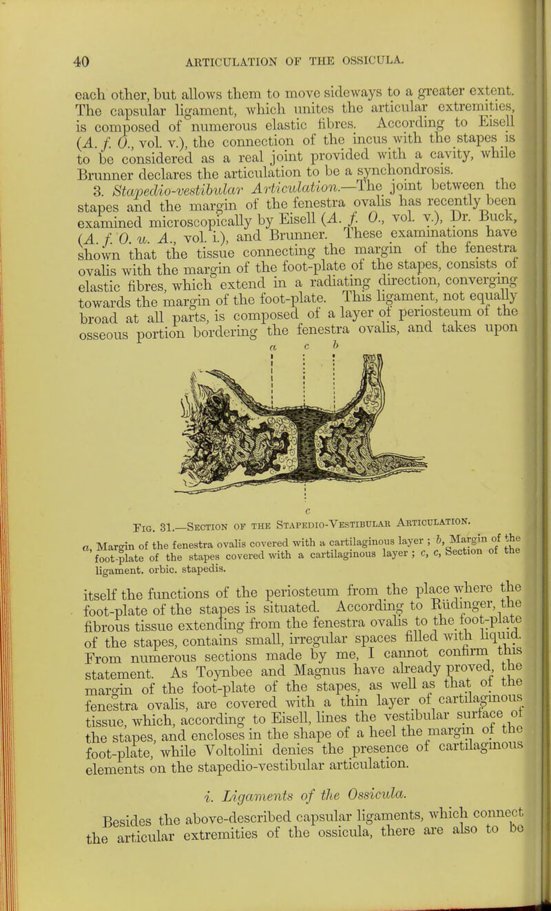 cacli other, but allows them to move sideways to a greater extent. The capsular ligament, which unites the articular extremities, is composed of numerous elastic fibres. According to Eisell (A f. 0 vol. v.), the connection of the incus with the stapes is to be considered as a real joint provided with a cavity, while Brunner declares the articulation to be a synchondrosis. 3. Stavedio-vestibular Articulation.—The joint between the stapes and the margin of the fenestra ovahs has recently been examined microscopically by Eisell {A.J 0., vol. v.), Dr. Buck, (AfOuA vol i) and Brunner. Ihese exammations have shown that the tissue connecting the margin of the fenestra ovahs with the margin of the foot-plate ot the stapes, consists^ ot elastic fibres, which extend in a radiating direction, converging towards the margin of the foot-plate. This ligament, not equally broad at all parts, is composed of a layer of periosteum of the osseous portion bordering the fenestra ovahs, and takes upon Fig. 31.—Section of the Stapedio-Vestibular Articulation. a Margin of the fenestra ovalis covered with a cartilaginous layer ; b, Margin of the 'foot plate of the stapes covered with a cartilaginous layer ; c, c, Section of the ligament, orbic. stapedis. itself the functions of the periosteum from the place where the foot-plate of the stapes is situated. According to Rudinger the fibrous tissue extending from the fenestra ovahsi to the toot-plate of the stapes, contains small, irregular spaces filled with hquia. From numerous sections made by me, I cannot connrrn this statement. As Toynbee and Magnus have already proved the maro-in of the foot-plate of the stapes, as well as that ot the fenestra ovalis, are covered with a thin layer of cartilaginous tissue, which, according to Eisell, lines the vestibular surface ot the stapes, and encloses in the shape of a heel the margin of the foot-plate, while Voltolini denies the presence of cartilaginous elements on the stapedio-vestibular articulation. i. Ligaments of the Ossicula. Besides the above-described capsular ligaments, which connect the articular extremities of the ossicula, there are also to bo