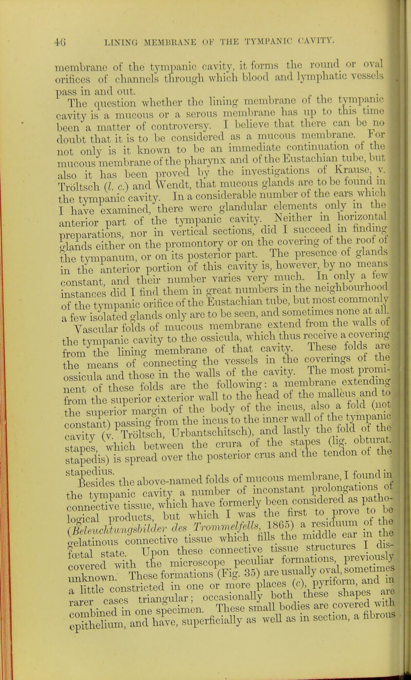 membrane of the tympanic cavity, it forms the round or oval orifices of channels through which blood and lymphatic vessels pass in and out. The question whether the lining membrane I the tympanic cavity is a mucous or a, serous membrane has up to this time been a matter of controversy. I believe that there can be no doubt that it is to be considered as a mucous membrane. *or not only is it, known to be an immediate continuation of the I mucous membrane of the pharynx and of the Eustachi an tube, but also it has been proved by the investigations of Krause y. Tröltsch (I. c.) and Wendt, that mucous -lands are tobe found m the tympanic cavity. In a considerable number of the ears which I have examined, there were glandular elements _ only m the anterior part of the tympanic cavity Neither in horizontal preparations, nor in vertical sections, did I succeed m finding I km&s either on the promontory or on the covering of the roof of the tympanum, or on its posterior part. The presence of glands 1 in the Interior portion of this cavity is, however by no means constant, and their number varies very much. In only a lew instances diel I find them in great numbers m the neighbourhood j of the tympanic orifice of the Eustachian tube, but most commonly a few isolated glands only are to be seen, and sometimes none at ail Yascular folds of mucous membrane extend from the walls of the tympanic cavity to the ossicula, which thus receive a covering from the lining membrane of that cavity. These folds are. the meansof connecting the vessels in the coverings of the SsicSa S d those in the walls of the cavity. The most promi- nent of these folds are the following: a membrane extending from the superior exterior wall to the head of the malleus and to ^ superior margin of the body of the mens also a fold H constant) passing from the incus to the inner wa >f the tjm amc cavitv (v Tröltsch, Urbantschitsch), and lastly the told ol the stapes which between the crura of the stapes (hg. obturat stasis) is spread over the posterior cms and tne tendon of the StBeesldes the above-named folds of mucous membrane, I found im the tympanic cavity a number of inconstant ^elongationsol connSe tissue, wLh have ^^^^^^ Weal products, but which I was the first to _ pi ove to oe ^UungsUlder des. Trolls 1865^ a^ium of he oelatinous connective tissue which fills the middle eai m i f.vtal state Upon these connective tissue structures I disj foetal state ui . peculiar formations, previously Sf/taÄ' 35) are usually »val—es  Me constricted in cue er mere place» (0.JW^^d » superficially as Wl as in secfen, a fitem-