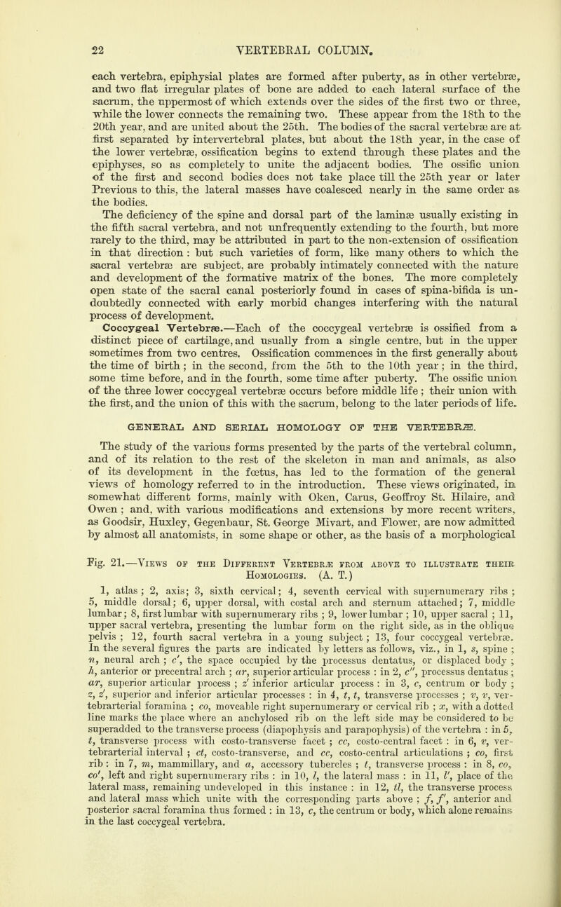 each vertebra, epiphysial plates are formed after puberty, as in other vertebras, and two flat irregular plates of bone are added to each lateral surface of the sacrum, the uppermost of which extends over the sides of the first two or three, while the lower connects the remaining two. These appear from the 18th to the 20th year, and are united about the 25th. The bodies of the sacral vertebras are at first separated by intervertebral plates, but about the 18th year, in the case of the lower vertebrae, ossification begins to extend through these plates and the epiphyses, so as completely to unite the adjacent bodies. The ossific union of the first and second bodies does not take place till the 25th year or later Previous to this, the lateral masses have coalesced nearly in the same order as- the bodies. The deficiency of the spine and dorsal part of the laminae usually existing in the fifth sacral vertebra, and not unfrequently extending to the fourth, but more rarely to the third, may be attributed in part to the non-extension of ossification in that direction : but such varieties of form, like many others to which the sacral vertebrae are subject, are probably intimately connected with the nature and development of the formative matrix of the bones. The more completely open state of the sacral canal posteriorly found in cases of spina-bifida is un¬ doubtedly connected with early morbid changes interfering with the natural process of development. Coccyg-eal Vertebrae.—Each of the coccygeal vertebrae is ossified from a distinct piece of cartilage, and usually from a single centre, but in the upper sometimes from two centres. Ossification commences in the first generally about the time of birth; in the second, from the 5th to the 10th year; in the third, some time before, and in the fourth, some time after puberty. The ossific union of the three lower coccygeal vertebrae occurs before middle life ; their union with the first, and the union of this with the sacrum, belong to the later periods of life. GENERAL AND SERIAL HOMOLOGY OP THE VERTEBRiE. The study of the various forms presented by the parts of the vertebral column, and of its relation to the rest of the skeleton in man and animals, as also of its development in the foetus, has led to the formation of the general views of homology referred to in the introduction. These views originated, in somewhat different forms, mainly with Oken, Cams, Geoffroy St. Hilaire, and Owen ; and, with various modifications and extensions by more recent writers, as Goodsir, Huxley, Gegenbaur, St. George Mivart, and Elower, are now admitted by almost all anatomists, in some shape or other, as the basis of a morphological Eig. 21.—Views op the Different Vertebra from above to illustrate their. Homologies. (A. T.) 1, atlas; 2, axis; 3, sixth cervical; 4, seventh cervical with supernumerary ribs; 5, middle dorsal; 6, upper dorsal, with costal arch and sternum attached; 7, middle lumbar; 8, first lumbar with supernumerary ribs ; 9, lower lumbar ; 10, upper sacral ; 11, upper sacral vertebra, presenting the lumbar form on the right side, as in the oblique pelvis ; 12, fourth sacral vertebra in a young subject; 13, four coccygeal vertebrae. In the several figures the parts are indicated by letters as follows, viz., in 1, s, spine ; n, neural arch ; c', the space occupied by the processus dentatus, or displaced body ; h, anterior or precentral arch ; ar, superior articular process : in 2, c, processus dentatus ; ar, superior articular process ; z! inferior articular process : in 3, c, centrum or body ; z, z', superior and inferior articular processes : in 4, t, t, transverse processes ; v, v, ver- tebrarterial foramina ; co, moveable right supernumerary or cervical rib ; x, with a dotted line marks the place where an anchylosed rib on the left side may be considered to be superadded to the transverse process (diapophysis and parapophysis) of the vertebra : in 5, i, transverse process with costo-transverse facet ; cc, costo-central facet : in 6, v, ver- tebrarterial interval ; ct, costo-transverse, and cc, costo-central articulations ; co, first rib: in 7, m, mammillary, and a, accessory tubercles ; t, transverse process : in 8, co, co', left and right supernumerary ribs : in 10, l, the lateral mass : in 11, V, place of the lateral mass, remaining undeveloped in this instance : in 12, tl, the transverse process and lateral mass which unite with the corresponding parts above ; f, f, anterior and posterior sacral foramina thus formed : in 13, c, the centrum or body, which alone remains in the last coccygeal vertebra.