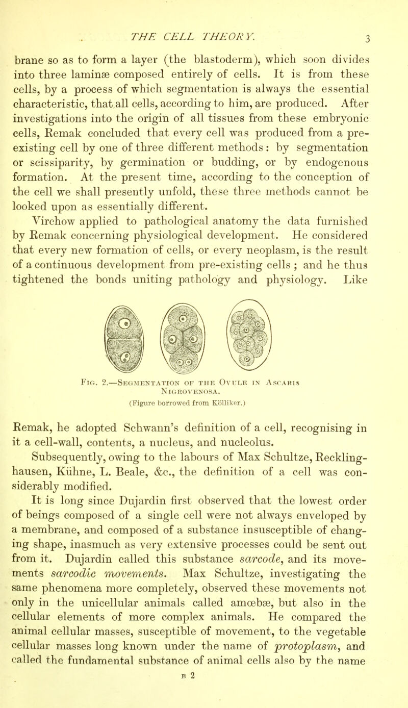 THE CELL THEORY. brane so as to form a layer (the blastoderm), which soon divides into three laminae composed entirely of cells. It is from these cells, by a process of which segmentation is always the essential characteristic, that all cells, according to him, are produced. After investigations into the origin of all tissues from these embryonic cells, Eemak concluded that every cell was produced from a pre- existing cell by one of three different methods : by segmentation or scissiparity, by germination or budding, or by endogenous formation. At the present time, according to the conception of the cell we shall presently unfold, these three methods cannot be looked upon as essentially different. Virchow applied to pathological anatomy the data furnished by Eemak concerning physiological development. He considered that every new formation of cells, or every neoplasm, is the result of a continuous development from pre-existing cells ; and he thus tightened the bonds uniting pathology and physiology. Like Fig. 2.—Segmentation of the Ovule in Ascaris NlGROVENOSA. (Figure borrowed from Kolliker.) Eemak, he adopted Schwann's definition of a cell, recognising in it a cell-wall, contents, a nucleus, and nucleolus. Subsequently, owing to the labours of Max Schultze, Eeckling- hausen, Kiihne, L. Beale, &c, the definition of a cell was con- siderably modified. It is long since Dujardin first observed that the lowest order of beings composed of a single cell were not always enveloped by a membrane, and composed of a substance insusceptible of chang- ing shape, inasmuch as very extensive processes could be sent out from it. Dujardin called this substance sarcode, and its move- ments sarcodic movements. Max Schultze, investigating the same phenomena more completely, observed these movements not only in the unicellular animals called amcebse, but also in the cellular elements of more complex animals. He compared the animal cellular masses, susceptible of movement, to the vegetable cellular masses long known under the name of protoplasm, and called the fundamental substance of animal cells also by the name B 2