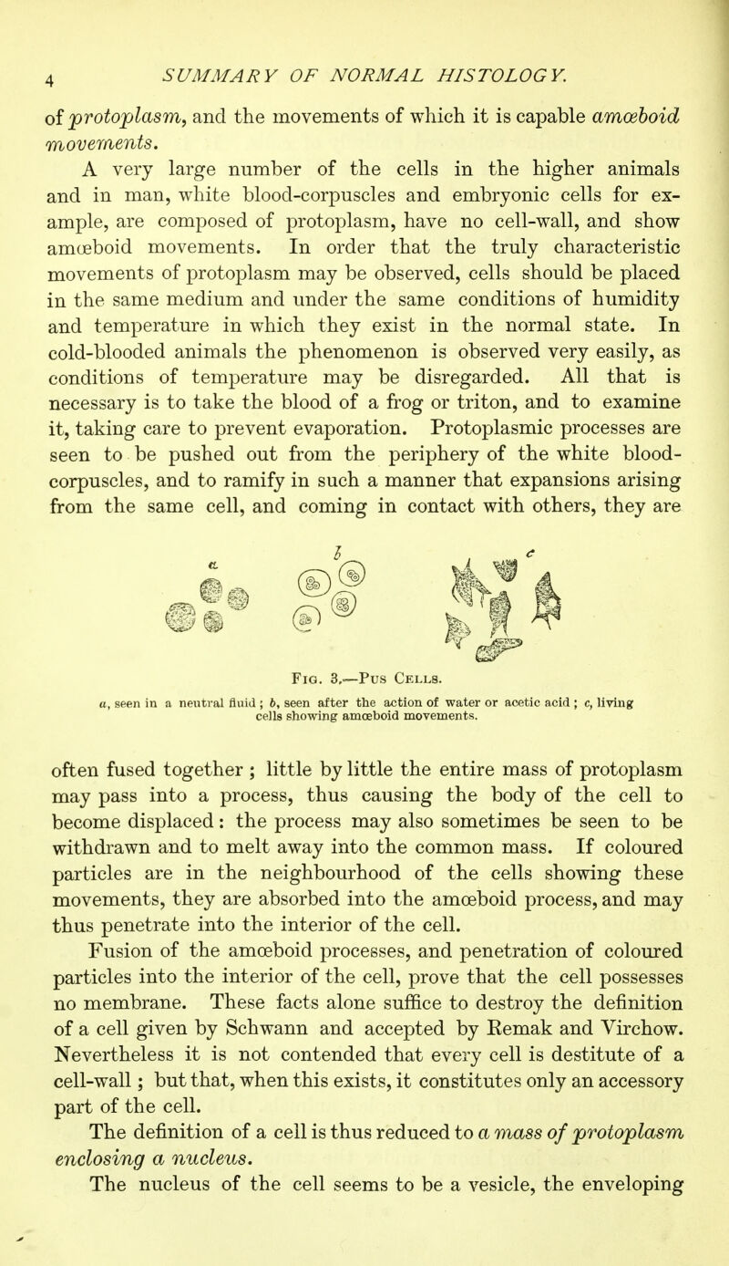 of protoplasm, and the movements of which it is capable amoeboid movements. A very large number of the cells in the higher animals and in man, white blood-corpuscles and embryonic cells for ex- ample, are composed of protoplasm, have no cell-wall, and show amœboid movements. In order that the truly characteristic movements of protoplasm may be observed, cells should be placed in the same medium and under the same conditions of humidity and temperature in which they exist in the normal state. In cold-blooded animals the phenomenon is observed very easily, as conditions of temperature may be disregarded. All that is necessary is to take the blood of a frog or triton, and to examine it, taking care to prevent evaporation. Protoplasmic processes are seen to be pushed out from the periphery of the white blood- corpuscles, and to ramify in such a manner that expansions arising from the same cell, and coming in contact with others, they are ., seen in a neutral fluid ; b, seen after the action of water or acetic acid ; c, living cells showing amoeboid movements. often fused together ; little by little the entire mass of protoplasm may pass into a process, thus causing the body of the cell to become displaced : the process may also sometimes be seen to be withdrawn and to melt away into the common mass. If coloured particles are in the neighbourhood of the cells showing these movements, they are absorbed into the amoeboid process, and may thus penetrate into the interior of the cell. Fusion of the amoeboid processes, and penetration of coloured particles into the interior of the cell, prove that the cell possesses no membrane. These facts alone suffice to destroy the definition of a cell given by Schwann and accepted by Eemak and Virchow. Nevertheless it is not contended that every cell is destitute of a cell-wall ; but that, when this exists, it constitutes only an accessory part of the cell. The definition of a cell is thus reduced to a mass of protoplasm enclosing a nucleus. The nucleus of the cell seems to be a vesicle, the enveloping