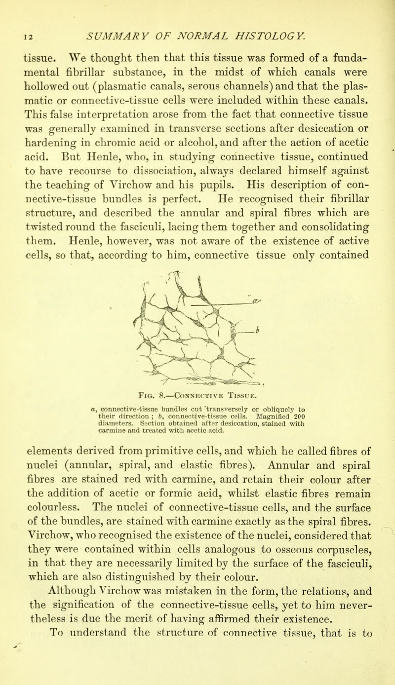 tissue. We thought then that this tissue was formed of a funda- mental fibrillar substance, in the midst of which canals were hollowed out (plasmatic canals, serous channels) and that the plas- matic or connective-tissue cells were included within these canals. This false interpretation arose from the fact that connective tissue was generally examined in transverse sections after desiccation or hardening in chromic acid or alcohol, and after the action of acetic acid. But Henle, who, in studying connective tissue, continued to have recourse to dissociation, always declared himself against the teaching of Virchow and his pupils. His description of con- nective-tissue bundles is perfect. He recognised their fibrillar structure, and described the annular and spiral fibres which are twisted round the fasciculi, lacing them together and consolidating them. Henle, however, was not aware of the existence of active cells, so that, according to him, connective tissue only contained Fig. 8.—Connective Tissue. a, connective-tissue bundles cut 'transversely or obliquely to their direction ; b, connective-tissue cells. Magnified 200 diameters. Section obtained after desiccation, stained with carmine and treated with acetic acid. elements derived from primitive cells, and which he called fibres of nuclei (annular, spiral, and elastic fibres). Annular and spiral fibres are stained red with carmine, and retain their colour after the addition of acetic or formic acid, whilst elastic fibres remain colourless. The nuclei of connective-tissue cells, and the surface of the bundles, are stained with carmine exactly as the spiral fibres. Virchow, who recognised the existence of the nuclei, considered that they were contained within cells analogous to osseous corpuscles, in that they are necessarily limited by the surface of the fasciculi, which are also distinguished by their colour. Although Virchow was mistaken in the form, the relations, and the signification of the connective-tissue cells, yet to him never- theless is due the merit of having affirmed their existence. To understand the structure of connective tissue, that is to