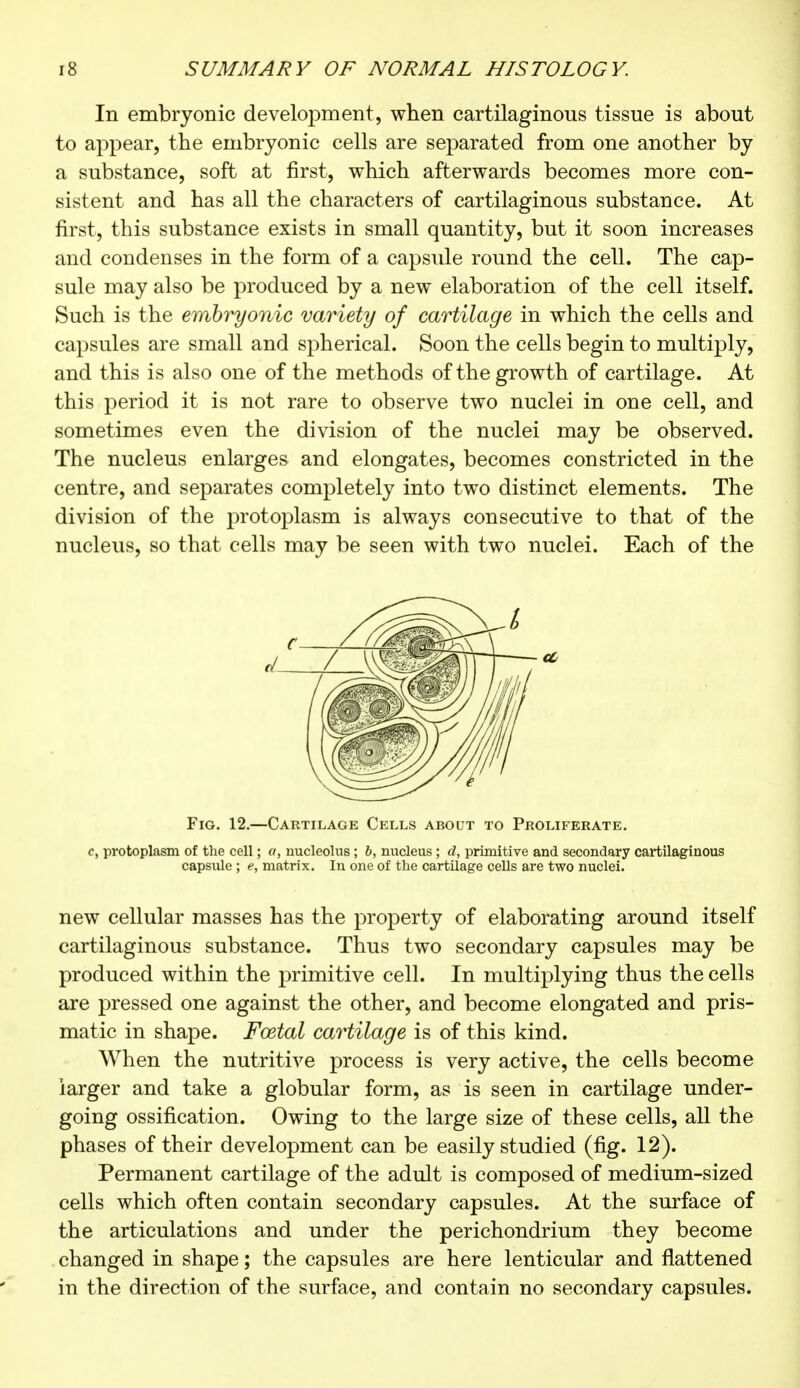 In embryonic development, when cartilaginous tissue is about to appear, the embryonic cells are separated from one another by a substance, soft at first, which afterwards becomes more con- sistent and has all the characters of cartilaginous substance. At first, this substance exists in small quantity, but it soon increases and condenses in the form of a capsule round the cell. The cap- sule may also be produced by a new elaboration of the cell itself. Such is the embryonic variety of cartilage in which the cells and capsules are small and spherical. Soon the cells begin to multiply, and this is also one of the methods of the growth of cartilage. At this period it is not rare to observe two nuclei in one cell, and sometimes even the division of the nuclei may be observed. The nucleus enlarges and elongates, becomes constricted in the centre, and separates completely into two distinct elements. The division of the protoplasm is always consecutive to that of the nucleus, so that cells may be seen with two nuclei. Each of the Fig. 12.—Cartilage Cells about to Proliferate. c, protoplasm of the cell ; a, nucleolus ; b, nucleus ; d, primitive and secondary cartilaginous capsule ; e, matrix. In one of the cartilage cells are two nuclei. new cellular masses has the property of elaborating around itself cartilaginous substance. Thus two secondary capsules may be produced within the primitive cell. In multiplying thus the cells are pressed one against the other, and become elongated and pris- matic in shape. Festal cartilage is of this kind. When the nutritive process is very active, the cells become larger and take a globular form, as is seen in cartilage under- going ossification. Owing to the large size of these cells, all the phases of their development can be easily studied (fig. 12). Permanent cartilage of the adult is composed of medium-sized cells which often contain secondary capsules. At the surface of the articulations and under the perichondrium they become changed in shape ; the capsules are here lenticular and flattened in the direction of the surface, and contain no secondary capsules.