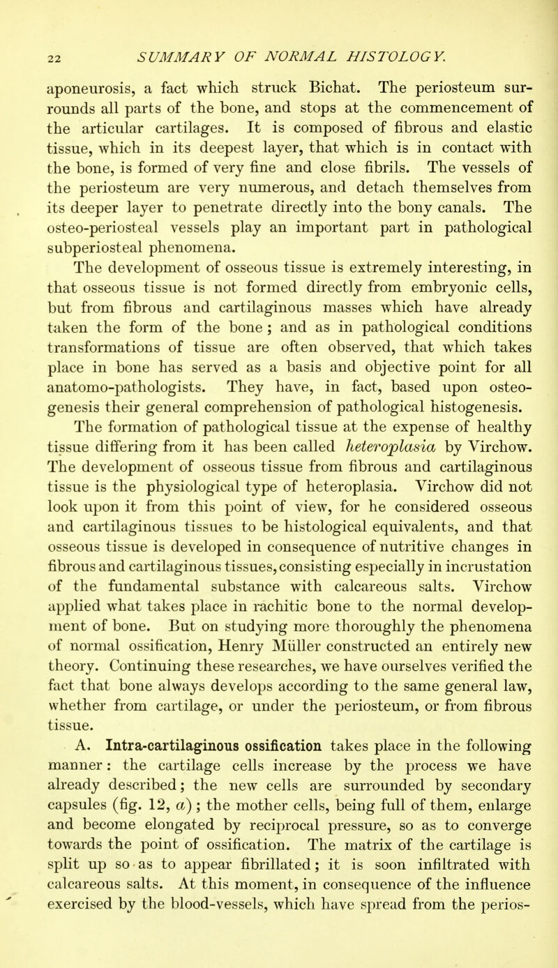 aponeurosis, a fact which struck Bichat. The periosteum sur- rounds all parts of the bone, and stops at the commencement of the articular cartilages. It is composed of fibrous and elastic tissue, which in its deepest layer, that which is in contact with the bone, is formed of very fine and close fibrils. The vessels of the periosteum are very numerous, and detach themselves from its deeper layer to penetrate directly into the bony canals. The osteo-periosteal vessels play an important part in pathological subperiosteal phenomena. The development of osseous tissue is extremely interesting, in that osseous tissue is not formed directly from embryonic cells, but from fibrous and cartilaginous masses which have already taken the form of the bone ; and as in pathological conditions transformations of tissue are often observed, that which takes place in bone has served as a basis and objective point for all anatomo-pathologists. They have, in fact, based upon osteo- genesis their general comprehension of pathological histogenesis. The formation of pathological tissue at the expense of healthy tissue differing from it has been called heteroplasia by Virchow. The development of osseous tissue from fibrous and cartilaginous tissue is the physiological type of heteroplasia. Virchow did not look upon it from this point of view, for he considered osseous and cartilaginous tissues to be histological equivalents, and that osseous tissue is developed in consequence of nutritive changes in fibrous and cartilaginous tissues, consisting especially in incrustation of the fundamental substance with calcareous salts. Virchow applied what takes place in rachitic bone to the normal develop- ment of bone. But on studying more thoroughly the phenomena of normal ossification, Henry Miiller constructed an entirely new theory. Continuing these researches, we have ourselves verified the fact that bone always develops according to the same general law, whether from cartilage, or under the periosteum, or from fibrous tissue. A. Intra-cartilaginous ossification takes place in the following maimer : the cartilage cells increase by the process we have already described; the new cells are surrounded by secondary capsules (fig. 12, a); the mother cells, being full of them, enlarge and become elongated by reciprocal pressure, so as to converge towards the point of ossification. The matrix of the cartilage is split up so as to appear fibrillated; it is soon infiltrated with calcareous salts. At this moment, in consequence of the influence exercised by the blood-vessels, which have spread from the perios-