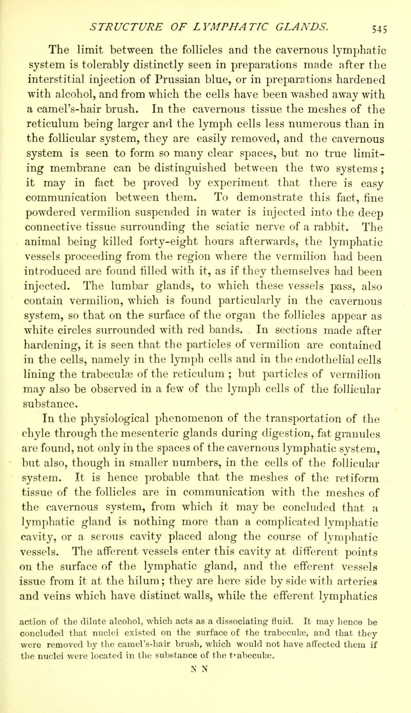 The limit between the follicles and the cavernous lymphatic system is tolerably distinctly seen in preparations made after the interstitial injection of Prussian blue, or in preparations hardened with alcohol, and from which the cells have been washed away with a camel's-hair brush. In the cavernous tissue the meshes of the reticulum being larger and the lymph cells less numerous than in the follicular system, they are easily removed, and the cavernous system is seen to form so many clear spaces, but no true limit- ing membrane can be distinguished between the two systems ; it may in fact be proved by experiment that there is easy communication between them. To demonstrate this fact, fine powdered vermilion suspended in water is injected into the deep connective tissue surrounding the sciatic nerve of a rabbit. The animal being killed forty-eight hours afterwards, the lymphatic vessels proceeding from the region where the vermilion had been introduced are found filled with it, as if they themselves had been injected. The lumbar glands, to which these vessels pass, also contain vermilion, which is found particularly in the cavernous system, so that on the surface of the organ the follicles appear as white circles surrounded with red bands. In sections made after hardening, it is seen that the particles of vermilion are contained in the cells, namely in the lymph cells and in the endothelial cells lining the trabecules of the reticulum ; but particles of vermilion may also be observed in a few of the lymph cells of the follicular substance. In the physiological phenomenon of the transportation of the chyle through the mesenteric glands during digestion, fat granules are found, not only in the spaces of the cavernous lymphatic system, but also, though in smaller numbers, in the cells of the follicular system. It is hence probable that the meshes of the retiform tissue of the follicles are in communication with the meshes of the cavernous system, from which it may be concluded that a lymphatic gland is nothing more than a complicated lymphatic cavity, or a serous cavity placed along the course of lymphatic vessels. The afferent vessels enter this cavity at different points on the surface of the lymphatic gland, and the efferent vessels issue from it at the hilum ; they are here side by side with arteries and veins which have distinct walls, while the efferent lymphatics action of the dilute alcohol, which acts as a dissociating fluid. It may hence be concluded that nuclei existed on the surface of the trabecule, and that they were removed by the camel's-hair brush, which would not have affected them if the nuclei were located in the substance of the trabecular N N