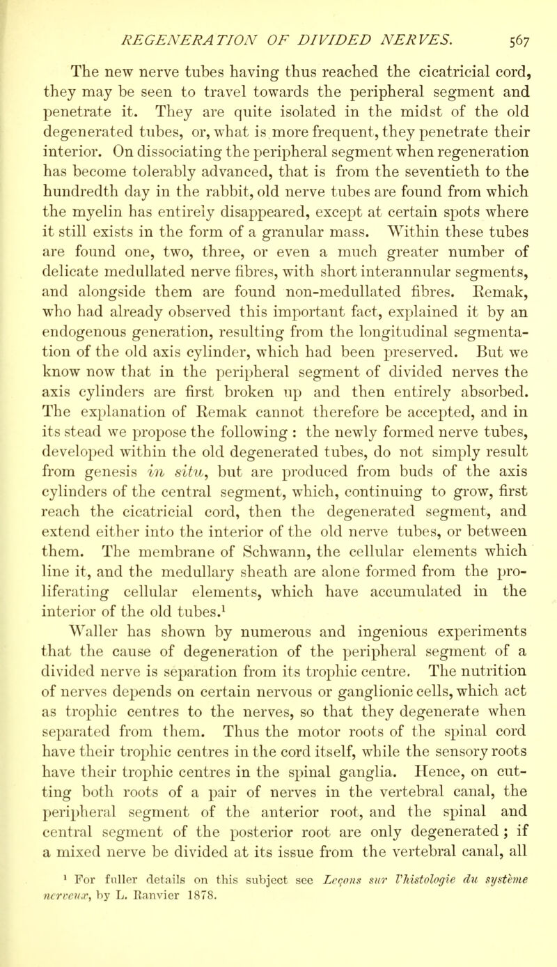 The new nerve tubes having thus reached the cicatricial cord, they may be seen to travel towards the peripheral segment and penetrate it. They are quite isolated in the midst of the old degenerated tubes, or, what is more frequent, they penetrate their interior. On dissociating the peripheral segment when regeneration has become tolerably advanced, that is from the seventieth to the hundredth day in the rabbit, old nerve tubes are found from which the myelin has entirely disappeared, except at certain spots where it still exists in the form of a granular mass. Within these tubes are found one, two, three, or even a much greater number of delicate medullated nerve fibres, with short interannular segments, and alongside them are found non-medullated fibres. Kemak, who had already observed this important fact, explained it by an endogenous generation, resulting from the longitudinal segmenta- tion of the old axis cylinder, which had been preserved. But we know now that in the peripheral segment of divided nerves the axis cylinders are first broken up and then entirely absorbed. The explanation of Remak cannot therefore be accepted, and in its stead we propose the following : the newly formed nerve tubes, developed within the old degenerated tubes, do not simply result from genesis in situ, but are produced from buds of the axis cylinders of the central segment, which, continuing to grow, first reach the cicatricial cord, then the degenerated segment, and extend either into the interior of the old nerve tubes, or between them. The membrane of Schwann, the cellular elements which line it, and the medullary sheath are alone formed from the pro- liferating cellular elements, which have accumulated in the interior of the old tubes.1 Waller has shown by numerous and ingenious experiments that the cause of degeneration of the peripheral segment of a divided nerve is separation from its trophic centre. The nutrition of nerves depends on certain nervous or ganglionic cells, which act as trophic centres to the nerves, so that they degenerate when separated from them. Thus the motor roots of the spinal cord have their trophic centres in the cord itself, while the sensory roots have their trophic centres in the spinal ganglia. Hence, on cut- ting both roots of a pair of nerves in the vertebral canal, the peripheral segment of the anterior root, and the spinal and central segment of the posterior root are only degenerated ; if a mixed nerve be divided at its issue from the vertebral canal, all 1 For fuller details on this subject see Leçons sur Vhistologie du système ncrvcit.r, by L. Ranvier 1878.